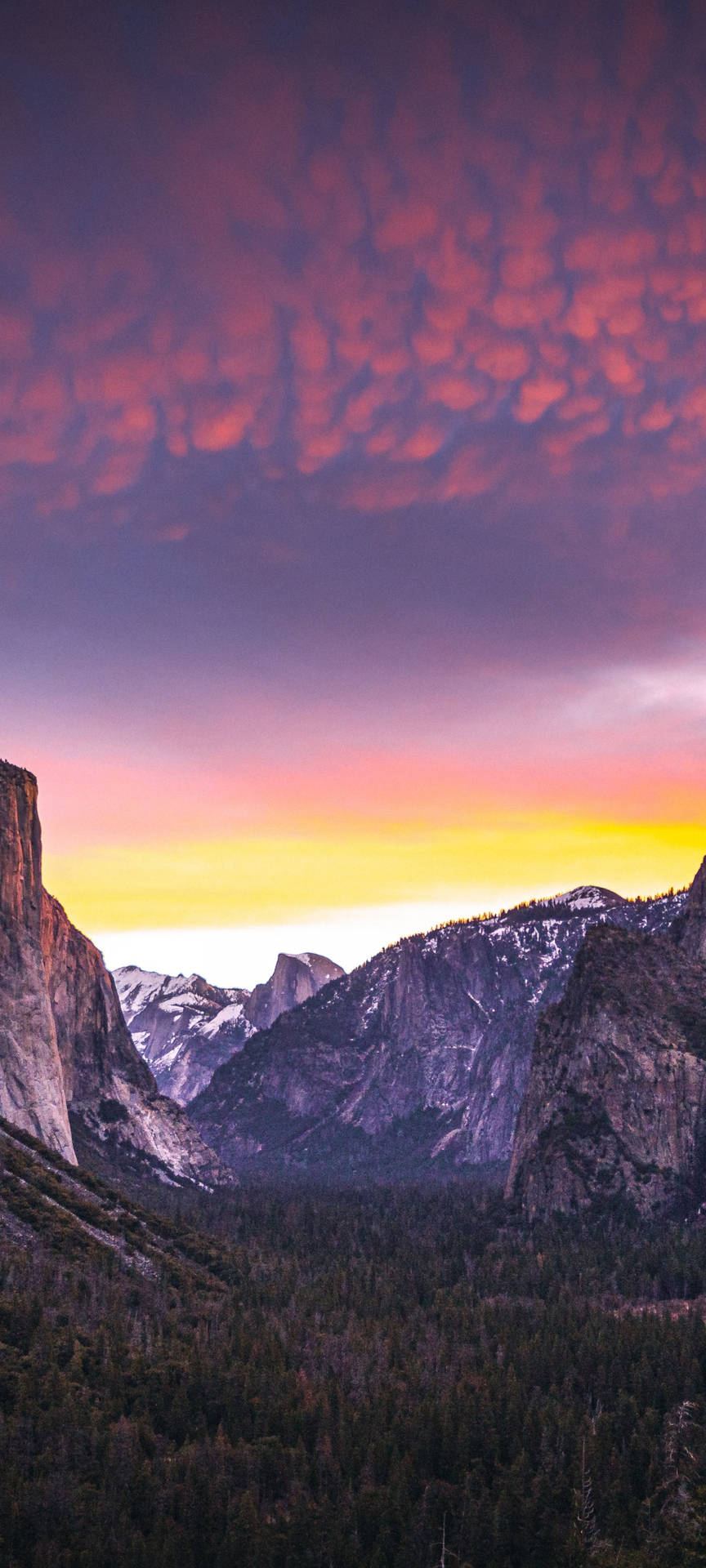 Download Enjoy the breathtaking views at Yosemite National Park on your iPhone Wallpaper