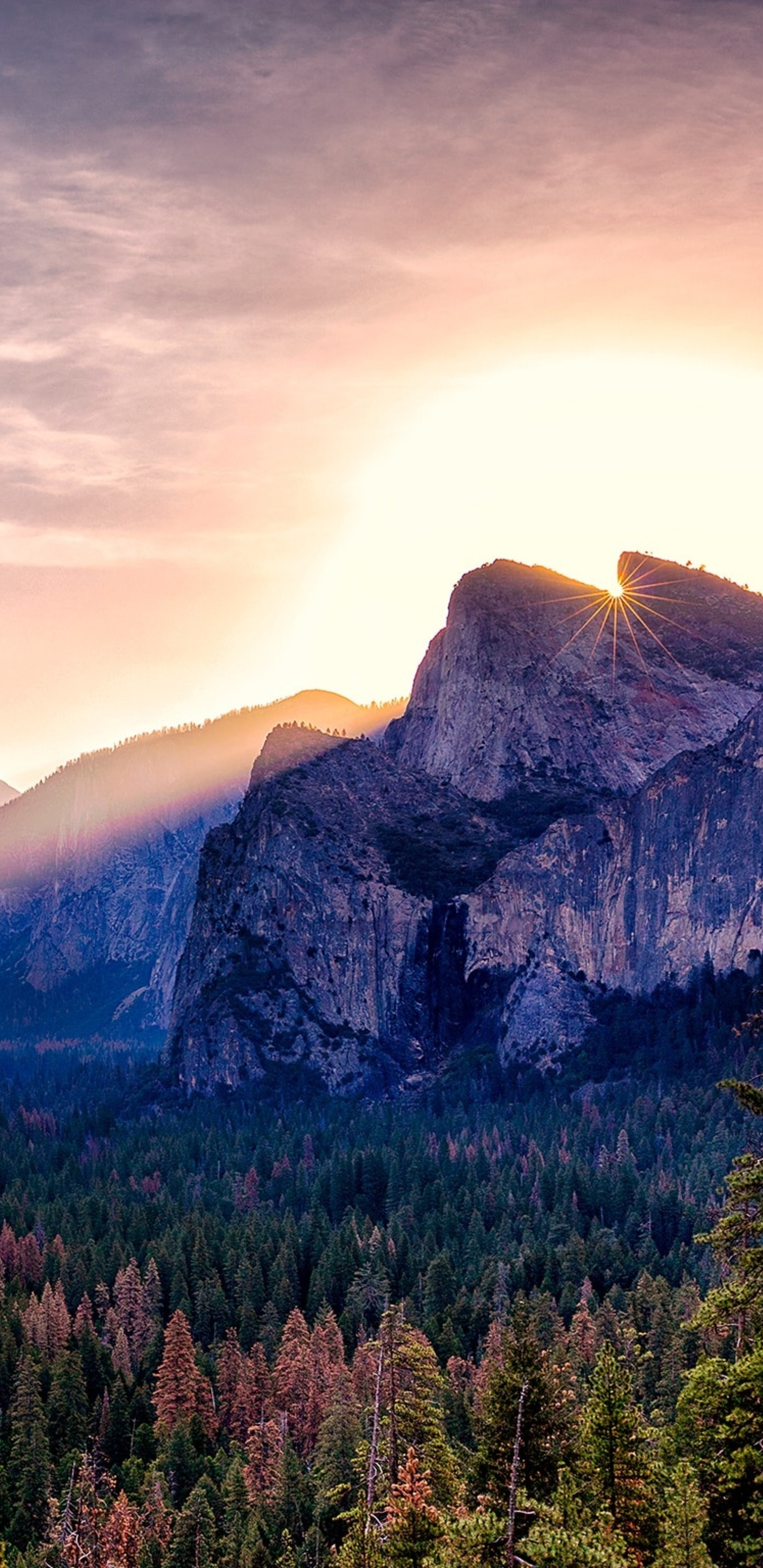 Yosemite valley Wallpaper Download