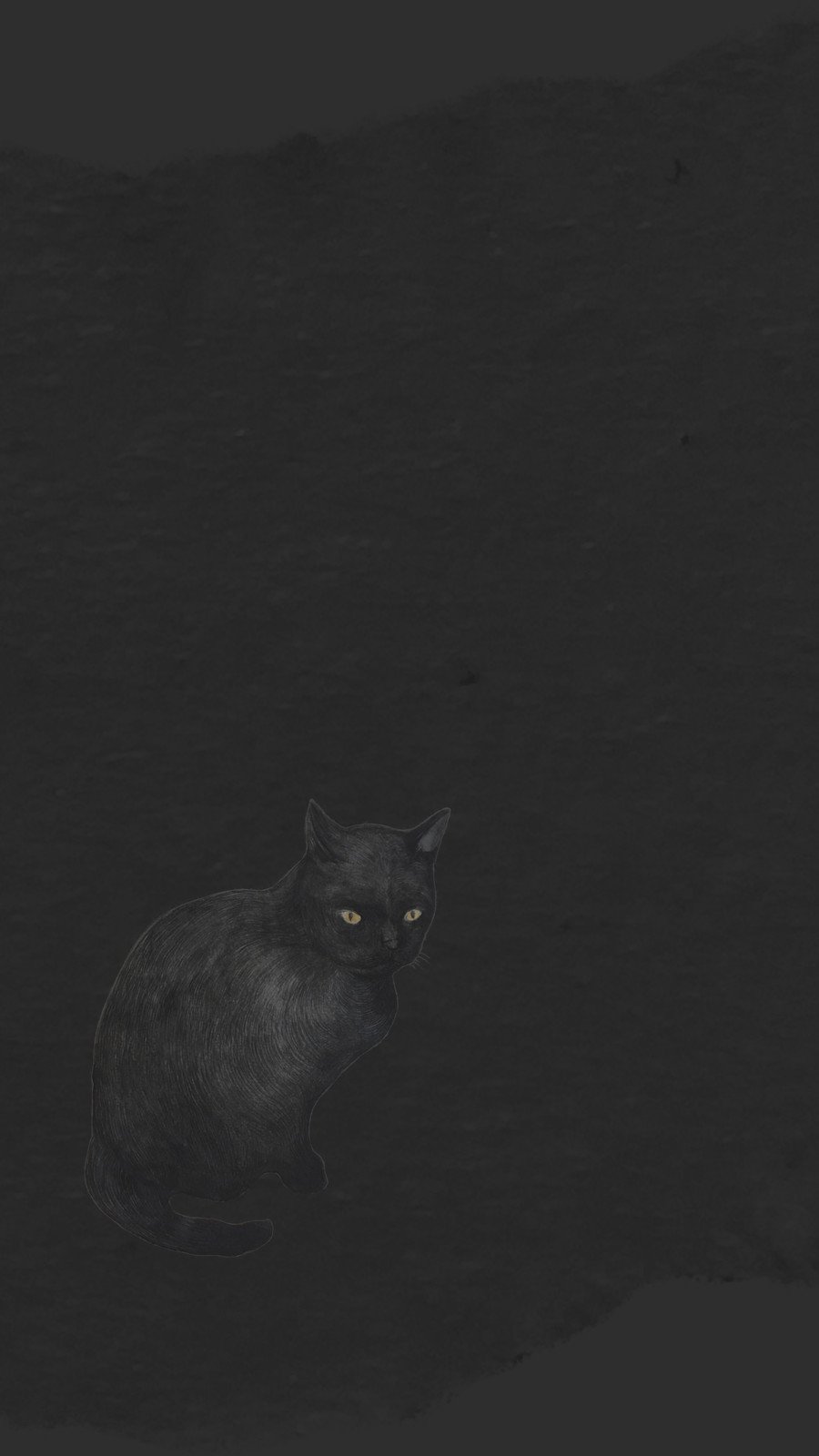 cat phone wallpaper