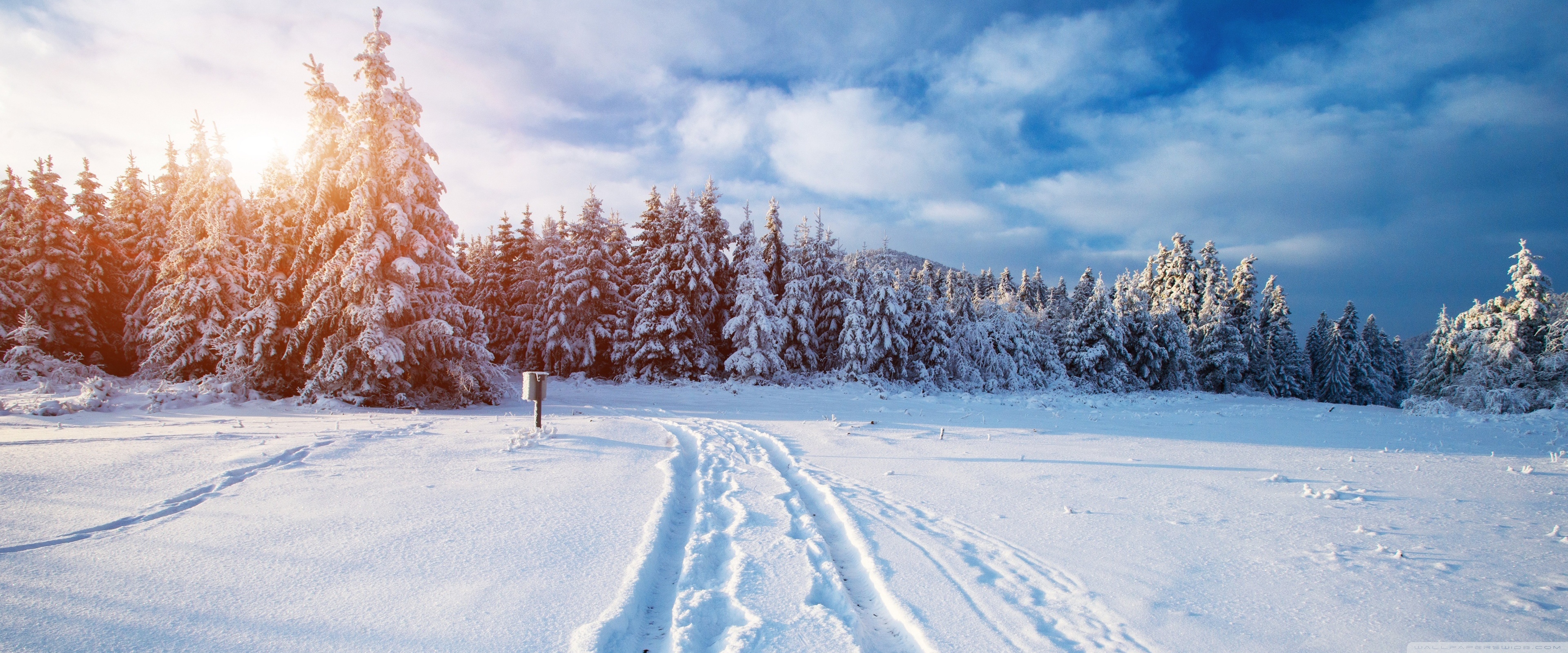Winter Ultra HD Desktop Background Wallpaper for 4K UHD TV, Widescreen & UltraWide Desktop & Laptop, Tablet