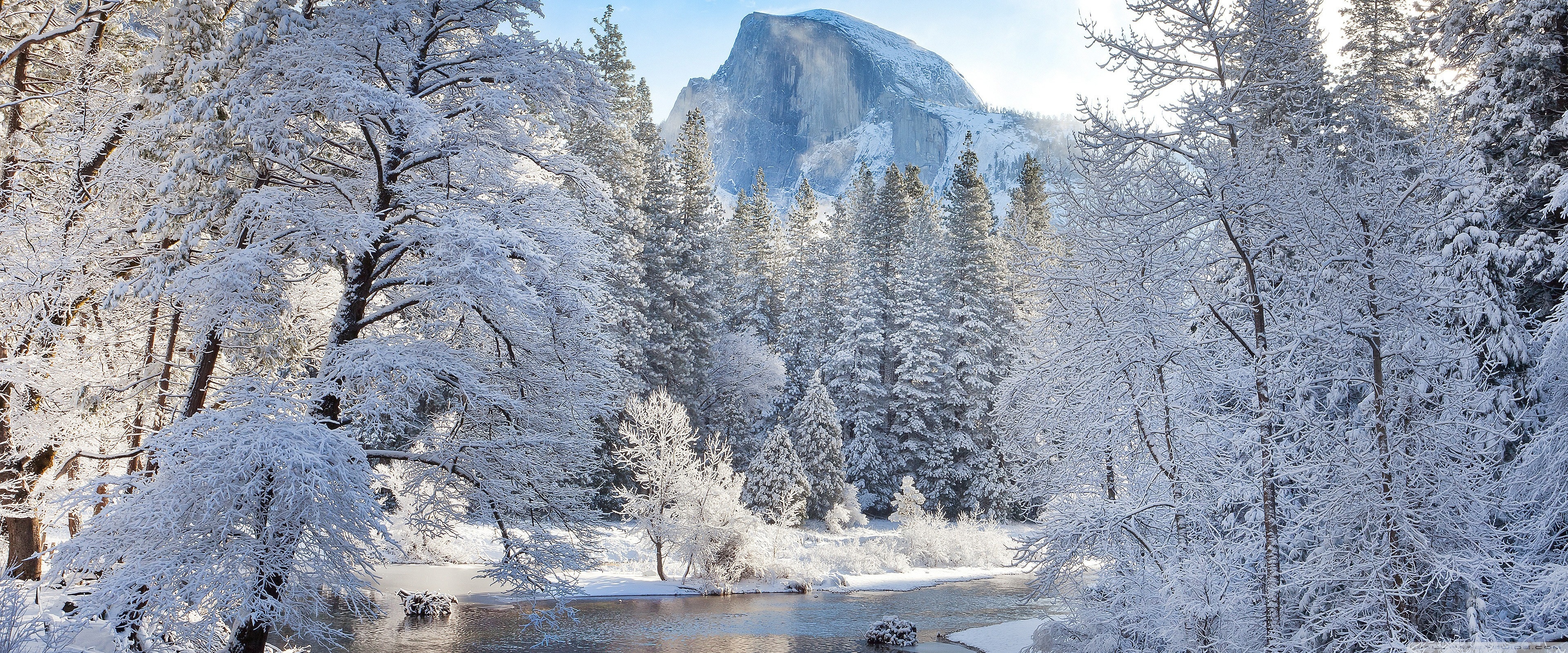 Winter, Nature Ultra HD Desktop Background Wallpaper for 4K UHD TV, Widescreen & UltraWide Desktop & Laptop, Tablet