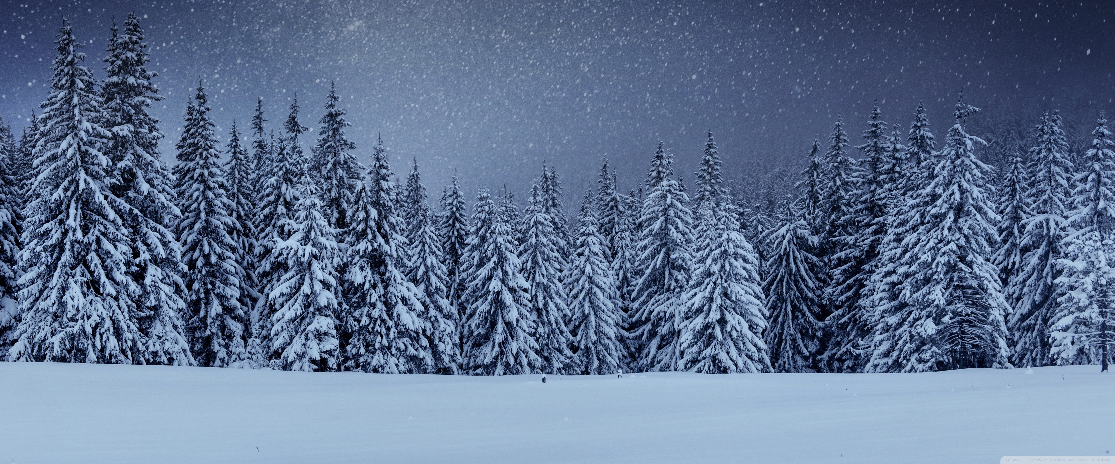 Beautiful Winter Night Ultra HD Desktop Background Wallpaper for 4K UHD TV, Widescreen & UltraWide Desktop & Laptop, Tablet