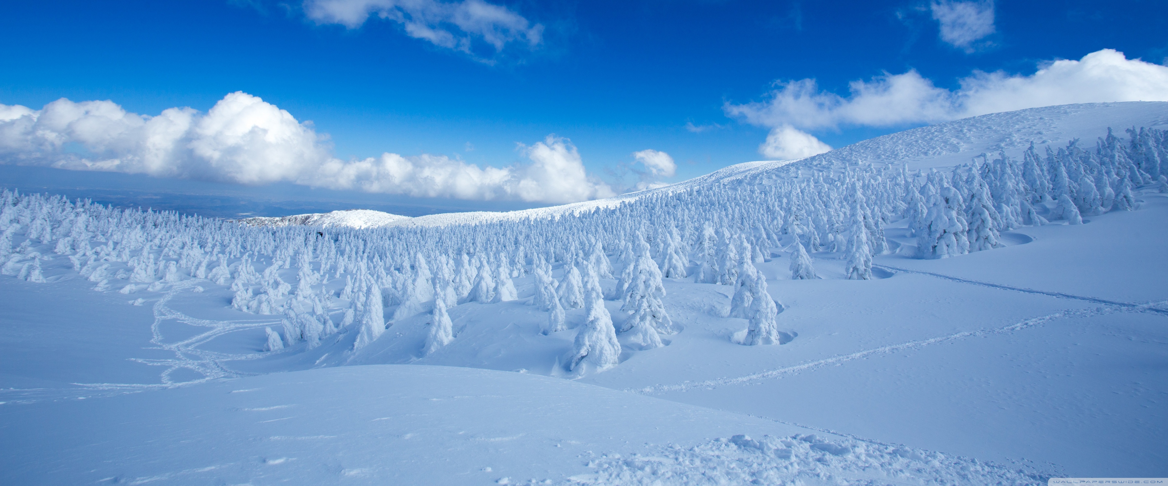 Winter Landscape Ultra HD Desktop Background Wallpaper for 4K UHD TV, Widescreen & UltraWide Desktop & Laptop, Tablet
