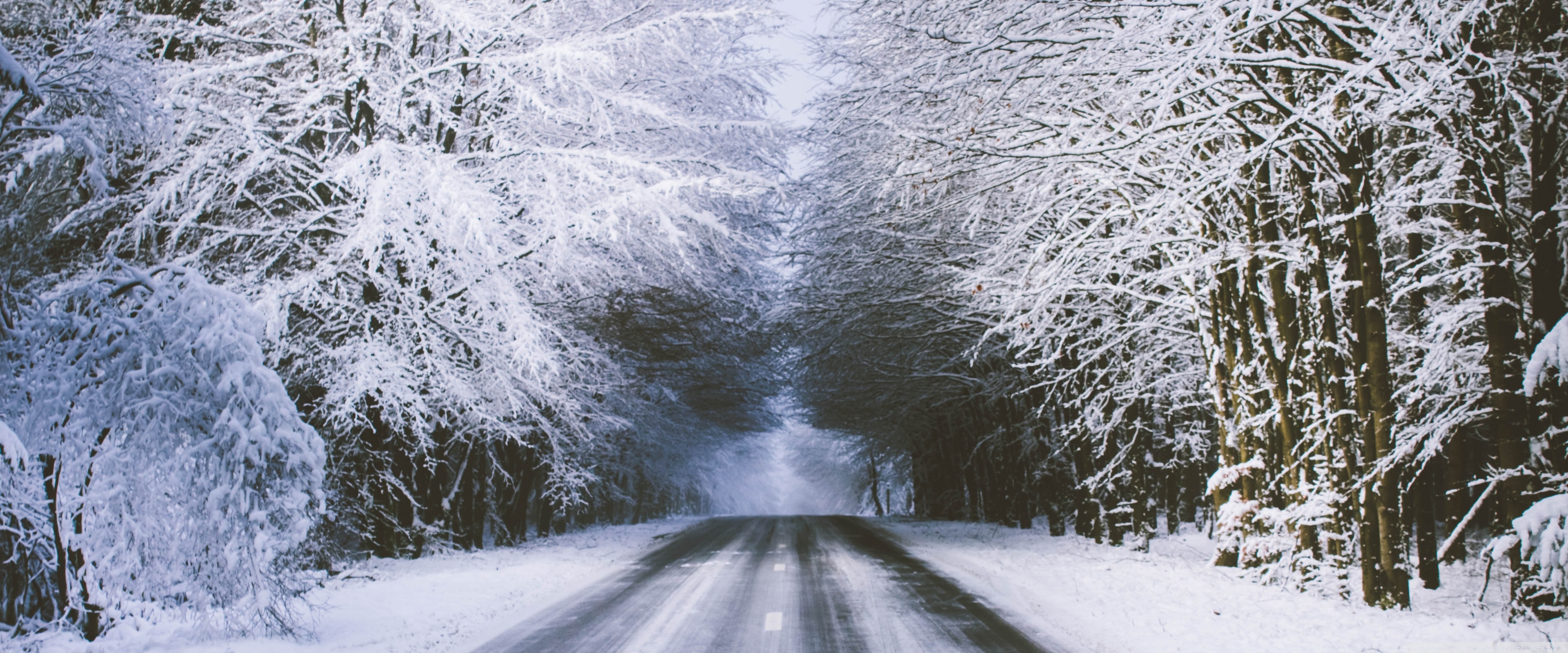 Winter Road Ultra HD Desktop Background Wallpaper for 4K UHD TV, Widescreen & UltraWide Desktop & Laptop, Multi Display, Dual Monitor, Tablet