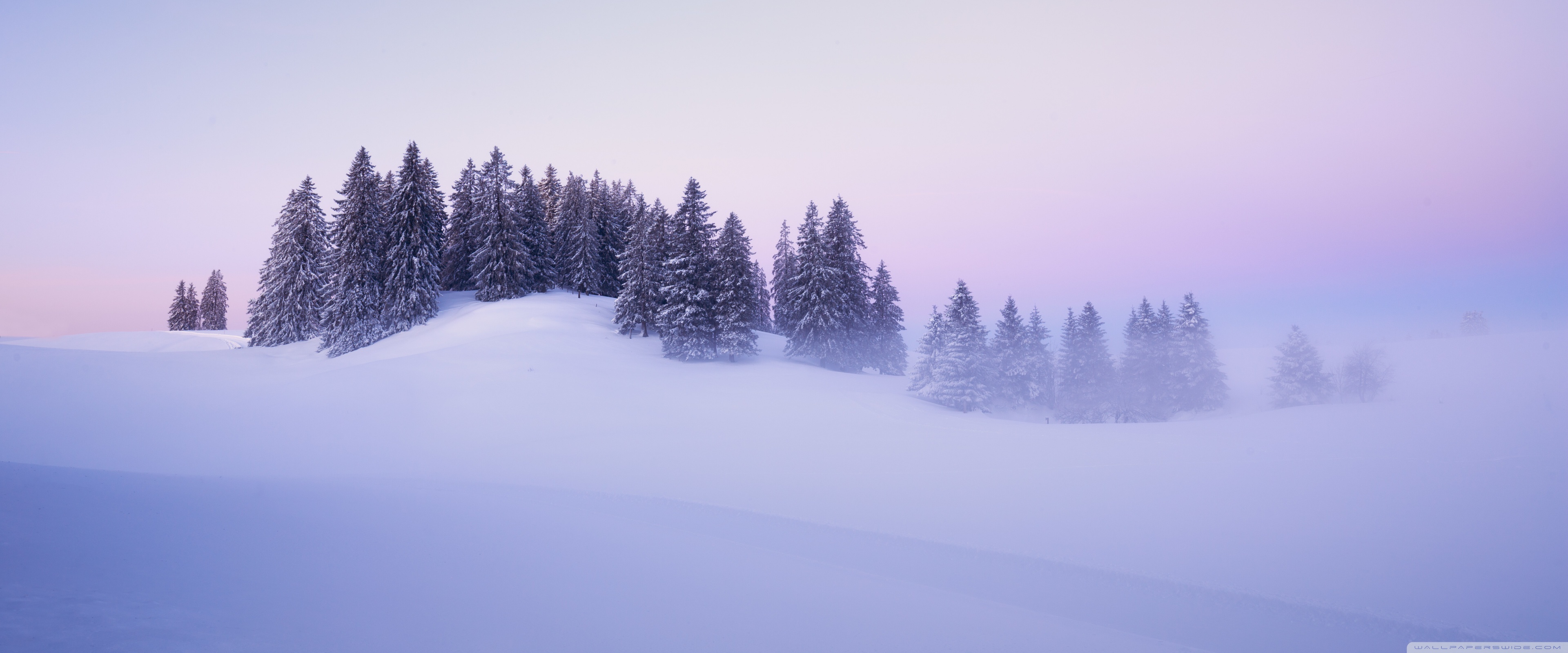 Snowy Hill Ultra HD Desktop Background Wallpaper for 4K UHD TV, Widescreen & UltraWide Desktop & Laptop, Tablet