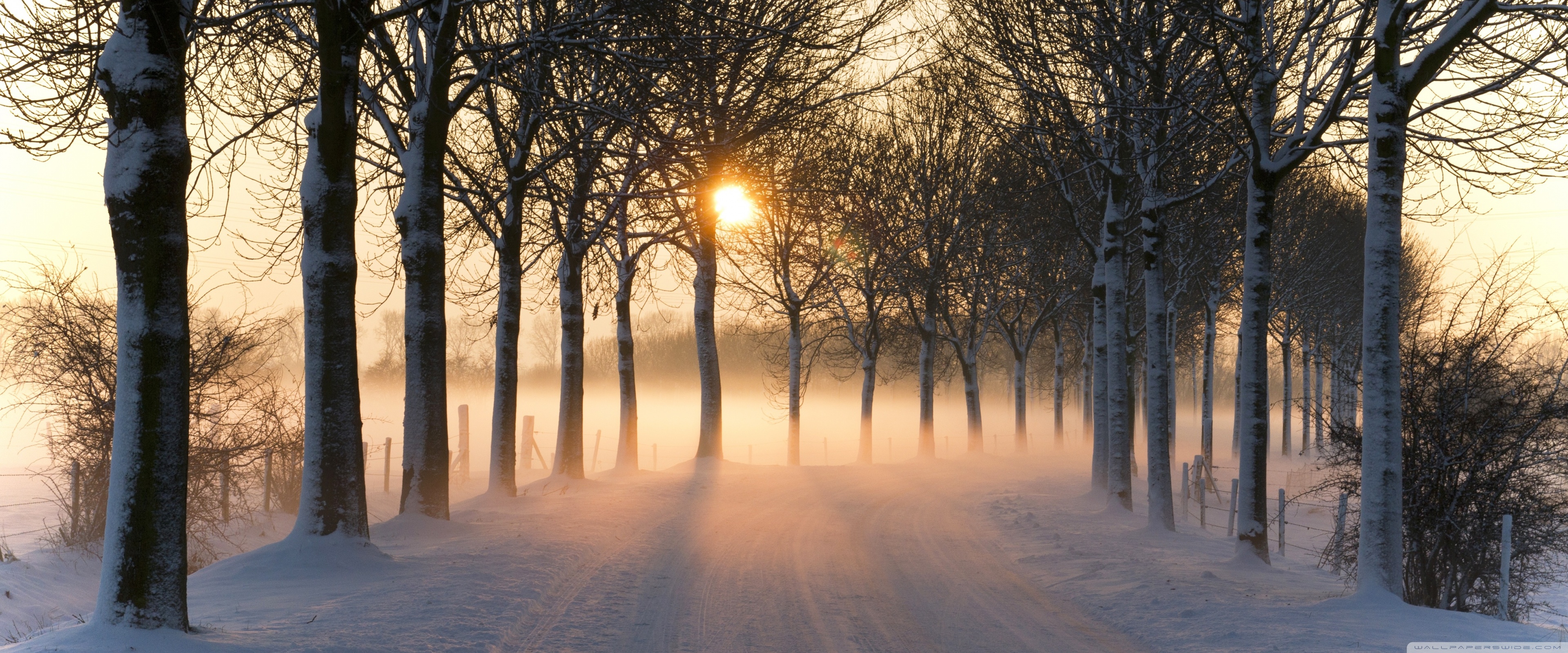 Misty Winter Afternoon Ultra HD Desktop Background Wallpaper for 4K UHD TV, Multi Display, Dual Monitor, Tablet