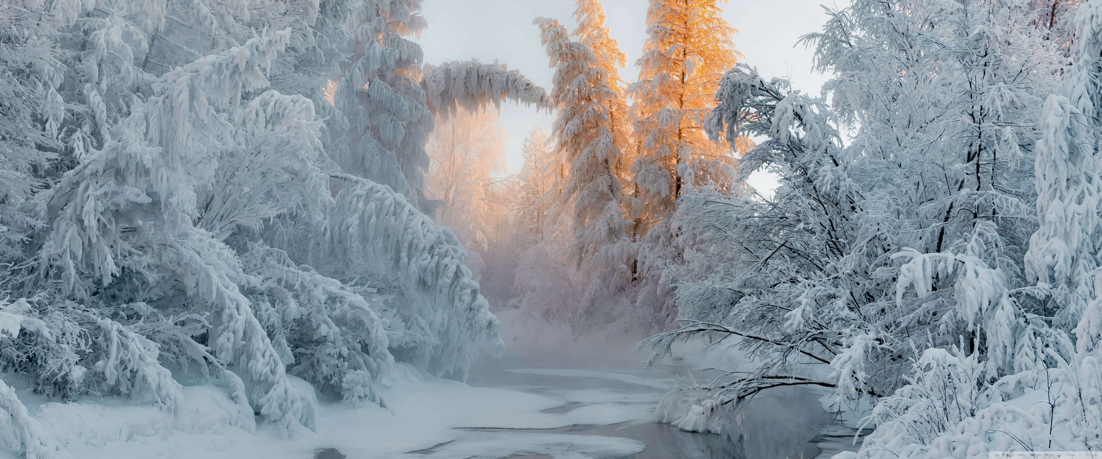 Winter Wonderland Ultra HD Desktop Background Wallpaper for 4K UHD TV, Widescreen & UltraWide Desktop & Laptop, Tablet