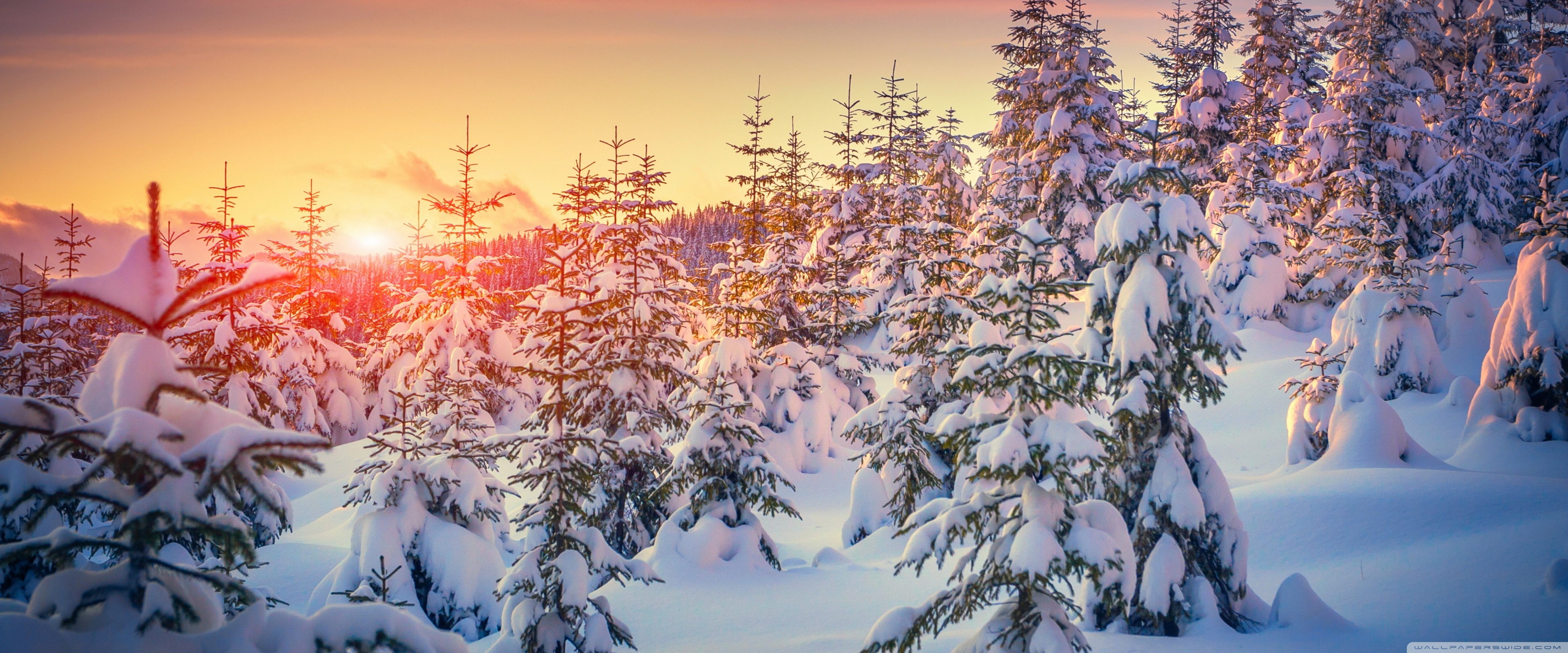 Winter Ultra HD Desktop Background Wallpaper for: Widescreen & UltraWide Desktop & Laptop, Multi Display, Dual & Triple Monitor, Tablet