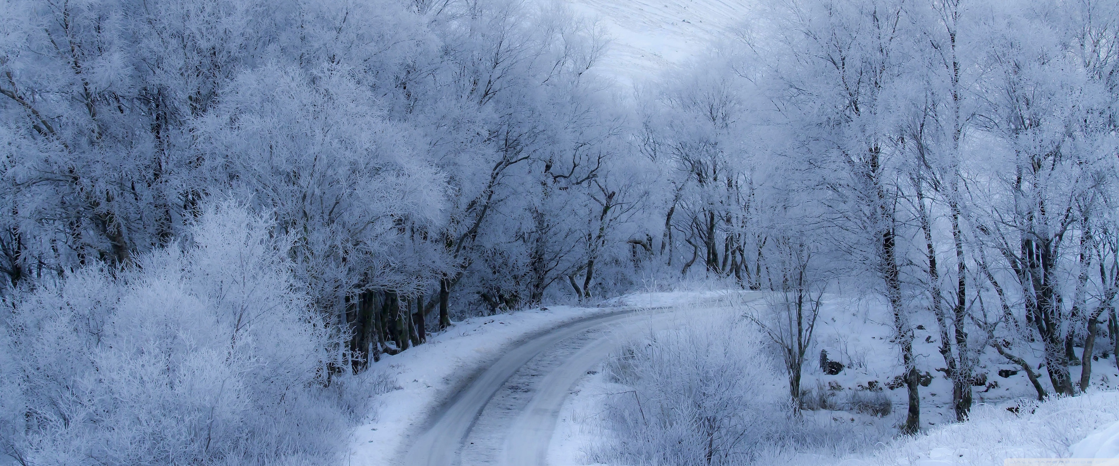 Winter Road Ultra HD Desktop Background Wallpaper for 4K UHD TV, Widescreen & UltraWide Desktop & Laptop, Tablet