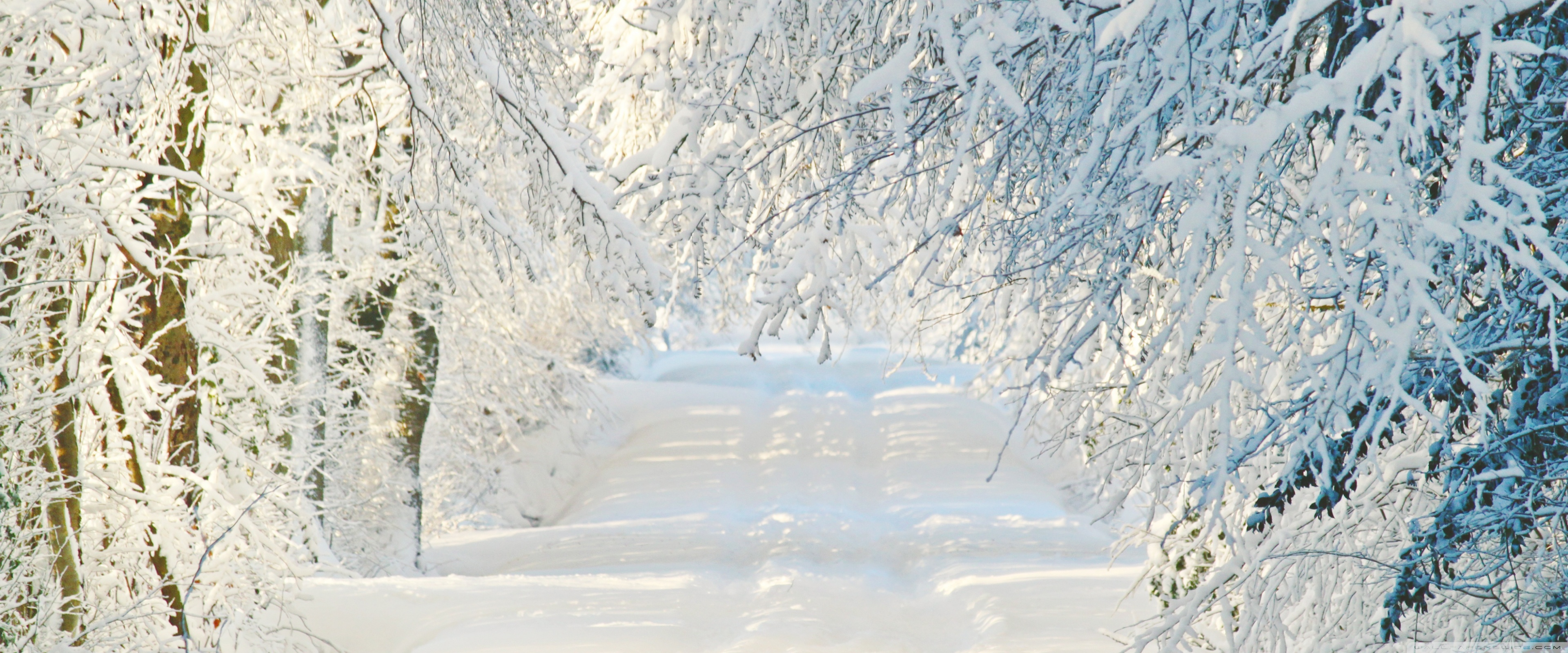 Snowy Road, Winter Ultra HD Desktop Background Wallpaper for 4K UHD TV, Multi Display, Dual Monitor, Tablet