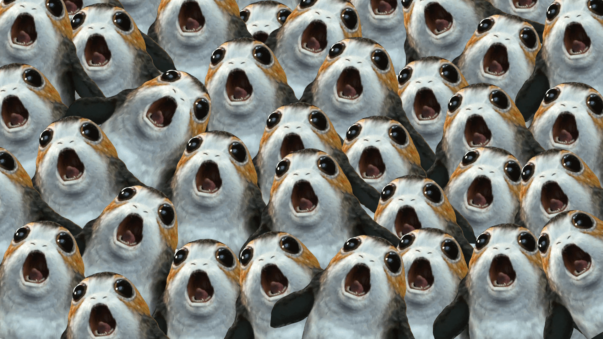 I made this porg wallpaper for all to enjoy