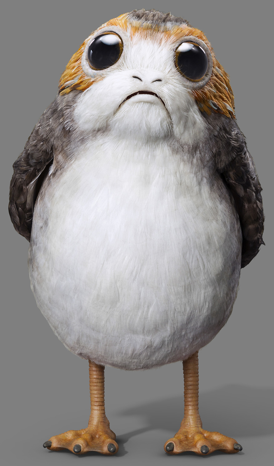 Porg. Star wars bb8, Star wars art, Star wars humor