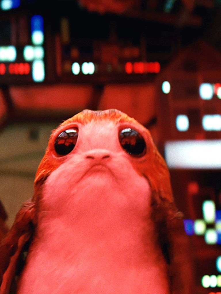 Download Porg (Star Wars) wallpaper for mobile phone, free Porg (Star Wars) HD picture