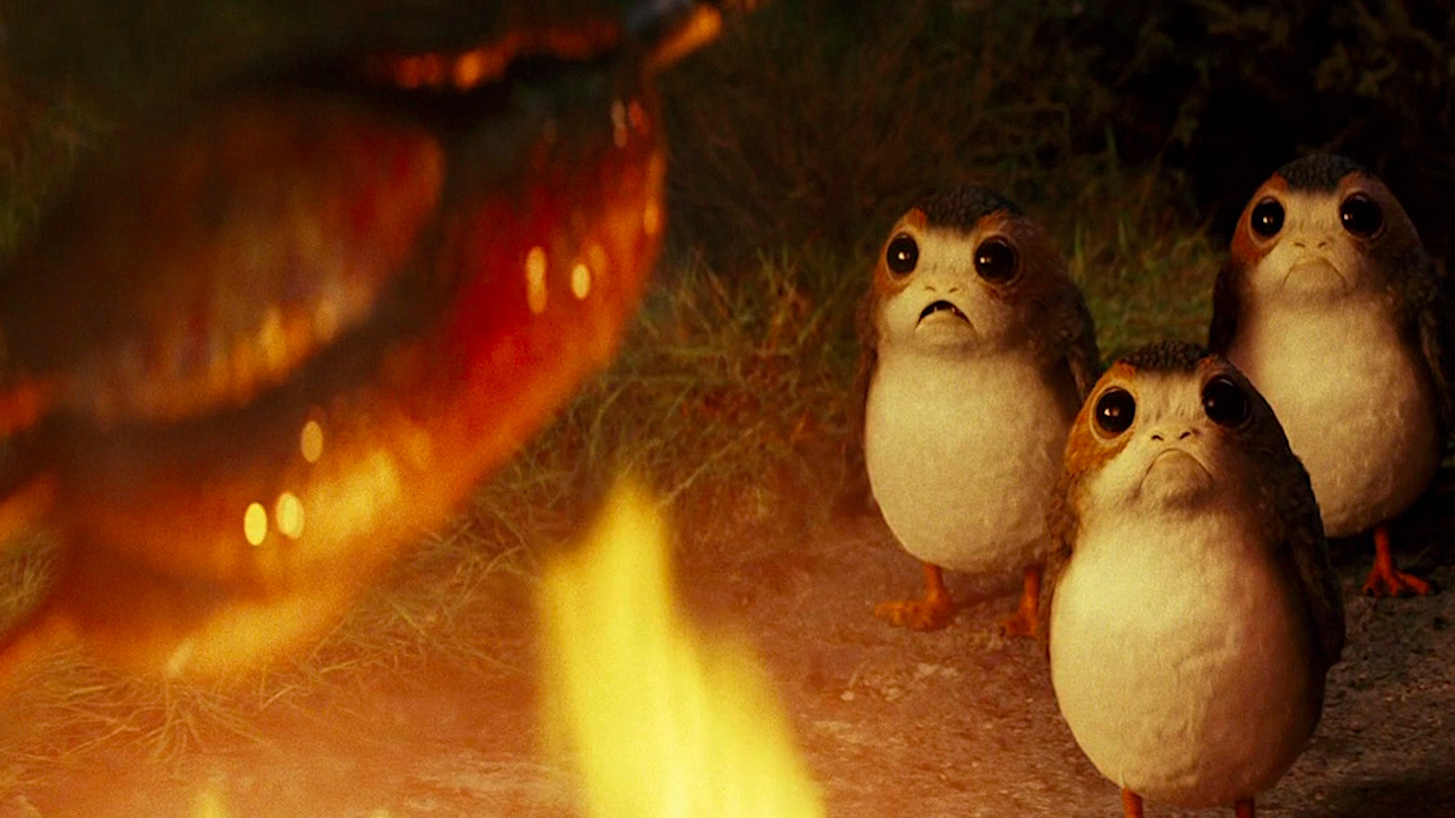 The Surprising Reason Porgs Were Created For Star Wars: The Last Jedi