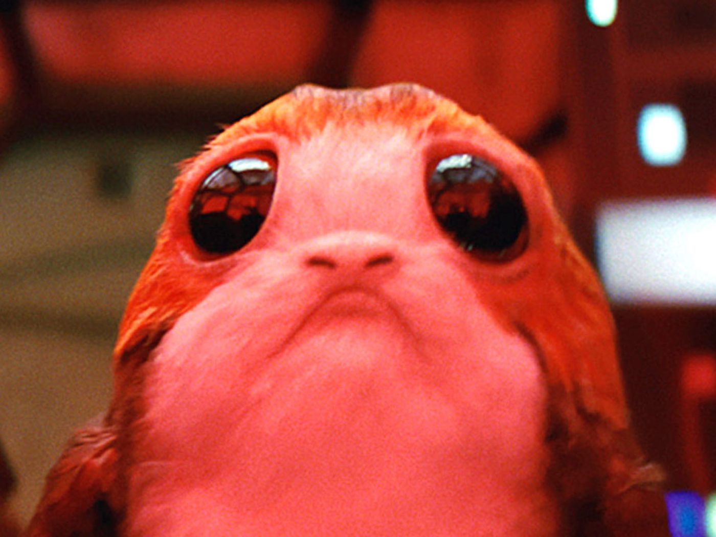 Science can explain why you want to eat a porg