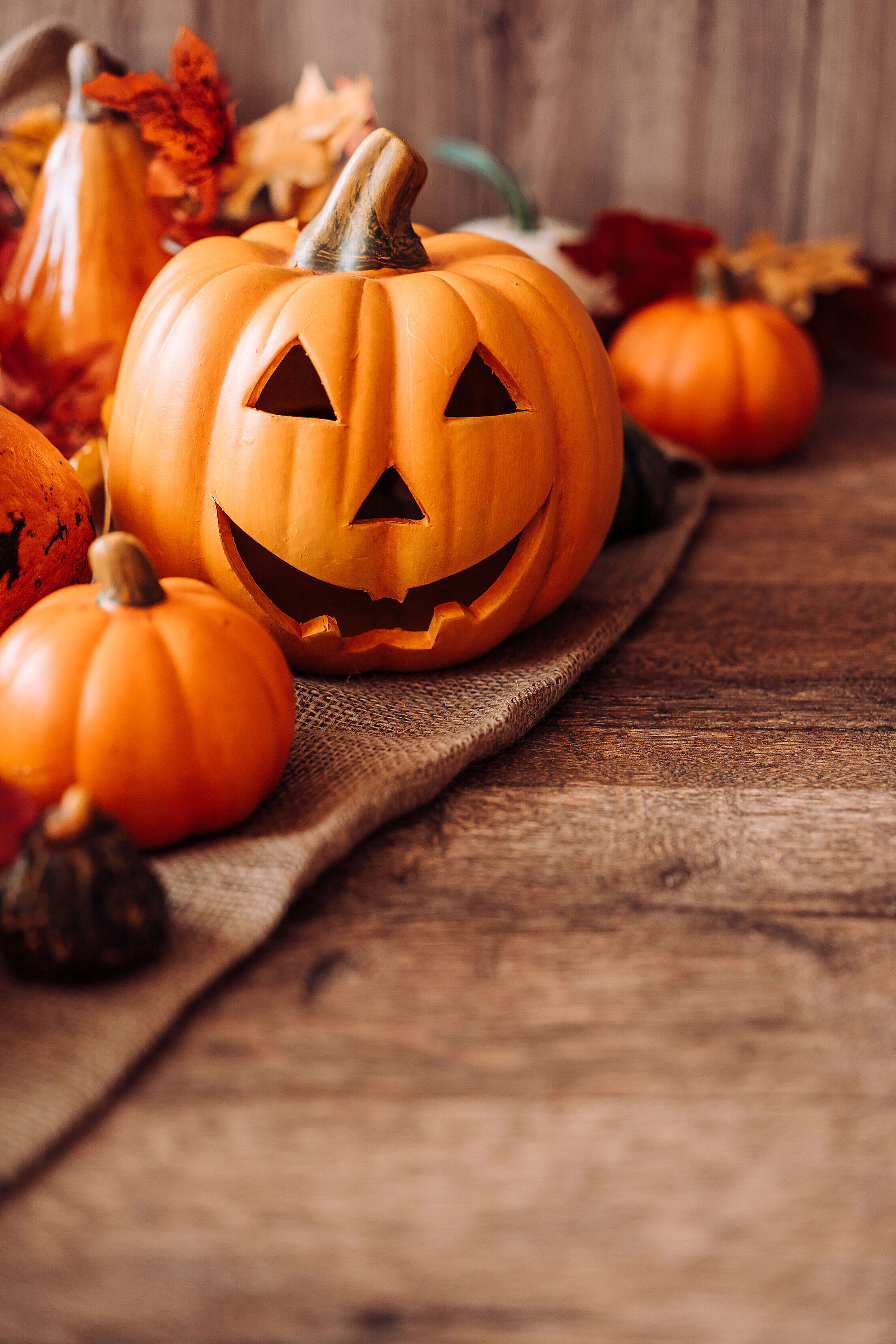 Halloween Vertical Still Life with Place for Your Text Free