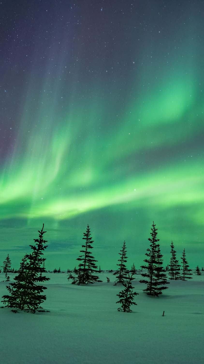 Aurora Borealis Snow iPhone Wallpaper HD Wallpaper. iPhone wallpaper, iPhone wallpaper ios 11, Black phone wallpaper