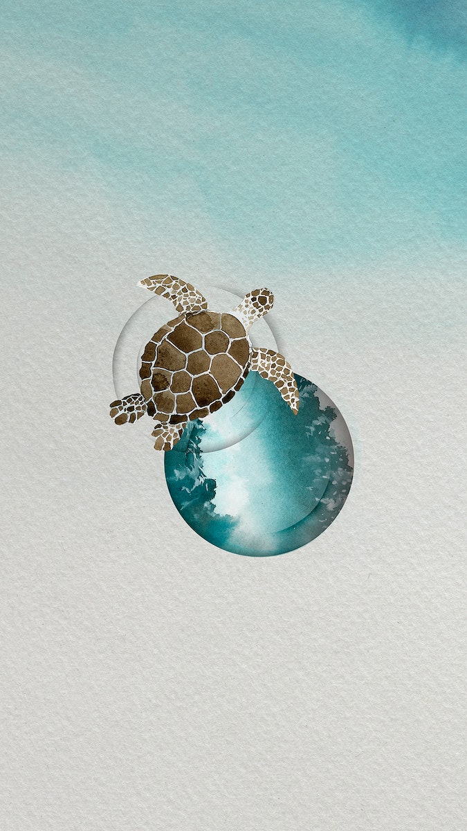 Sea Turtle Image. Free HD Background, PNGs, Vectors & Illustrations