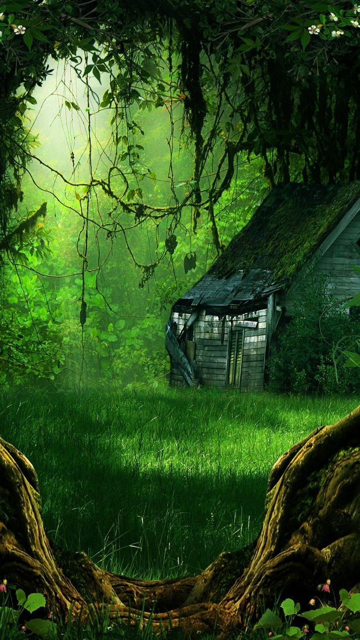 Green House in the Jungle Android 1080p