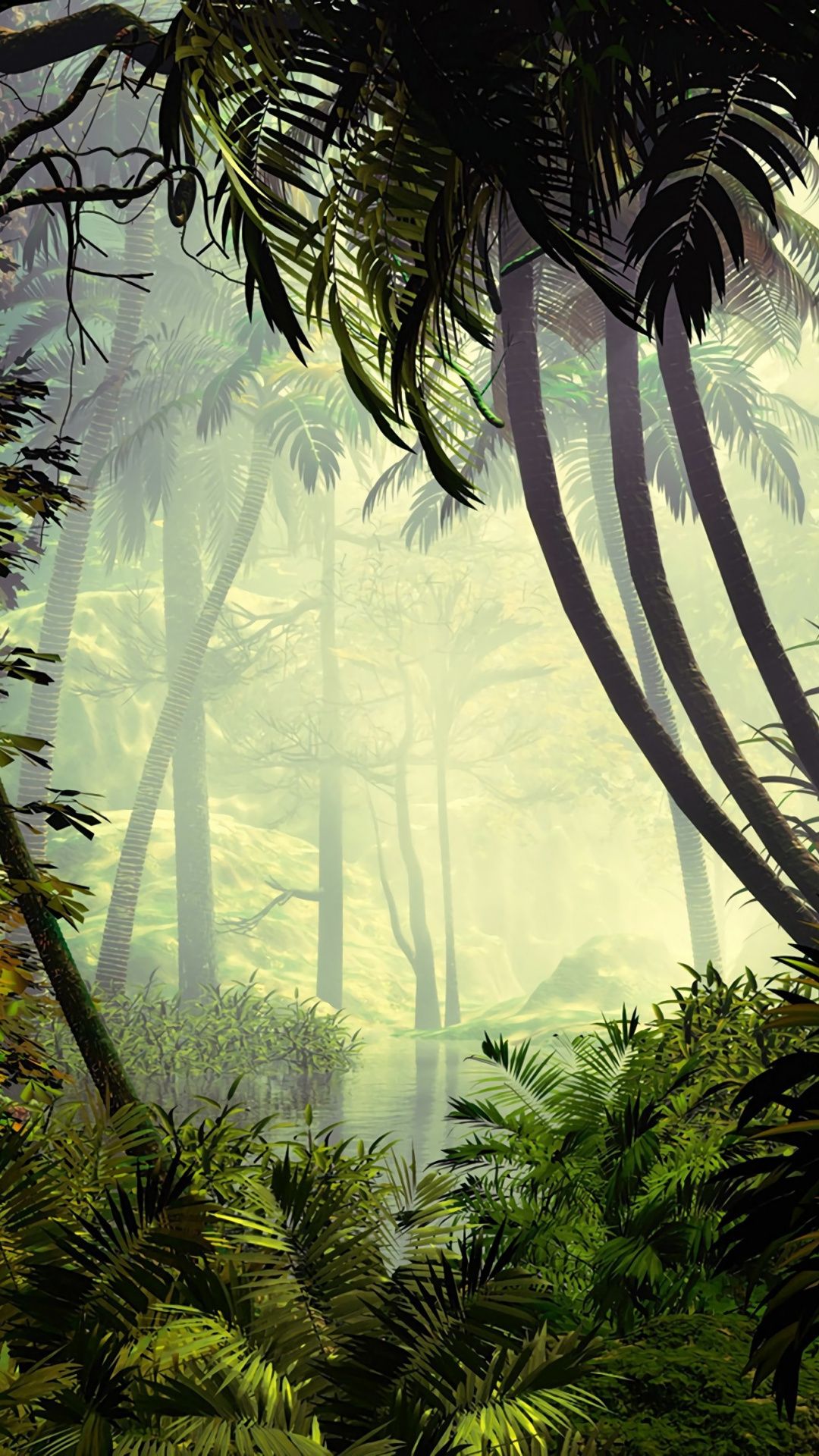 Jungle Wallpaper Free HD Wallpaper