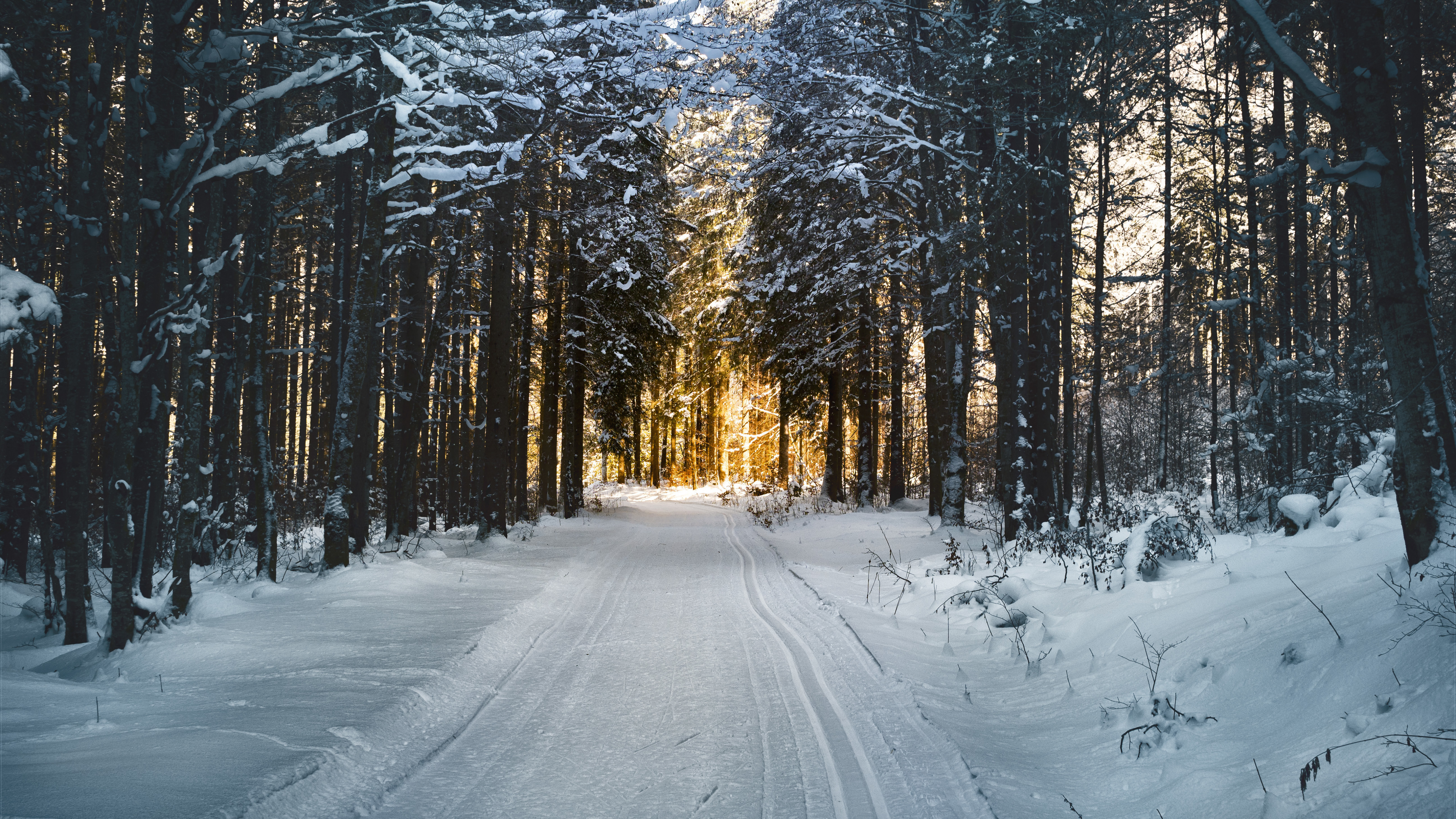 Download wallpaper 5120x2880 winter, snow road, trees, nature 5k wallpaper, 5120x2880 5k background, 956