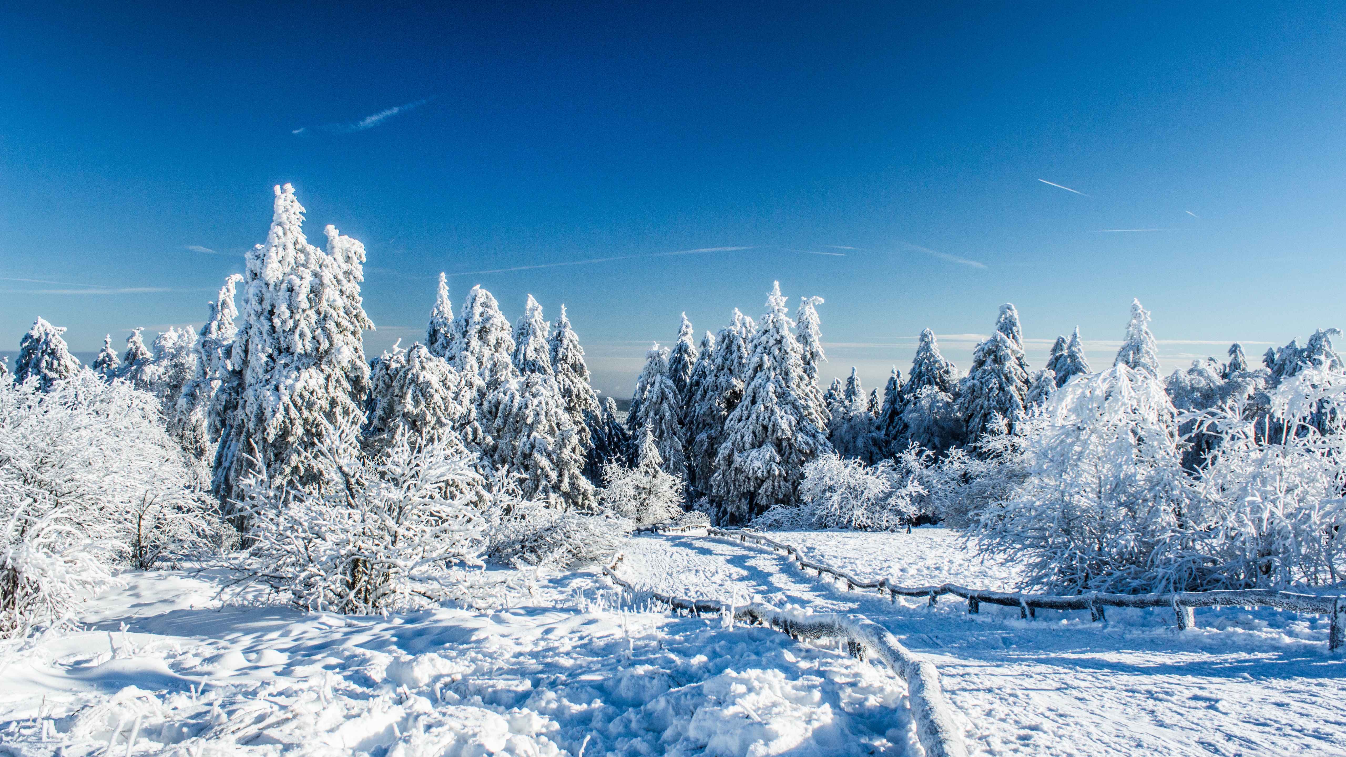 Wonderland Winter Ultra HD Desktop Background Wallpaper for 4K UHD TV, Widescreen & UltraWide Desktop & Laptop, Multi Display, Dual Monitor, Tablet