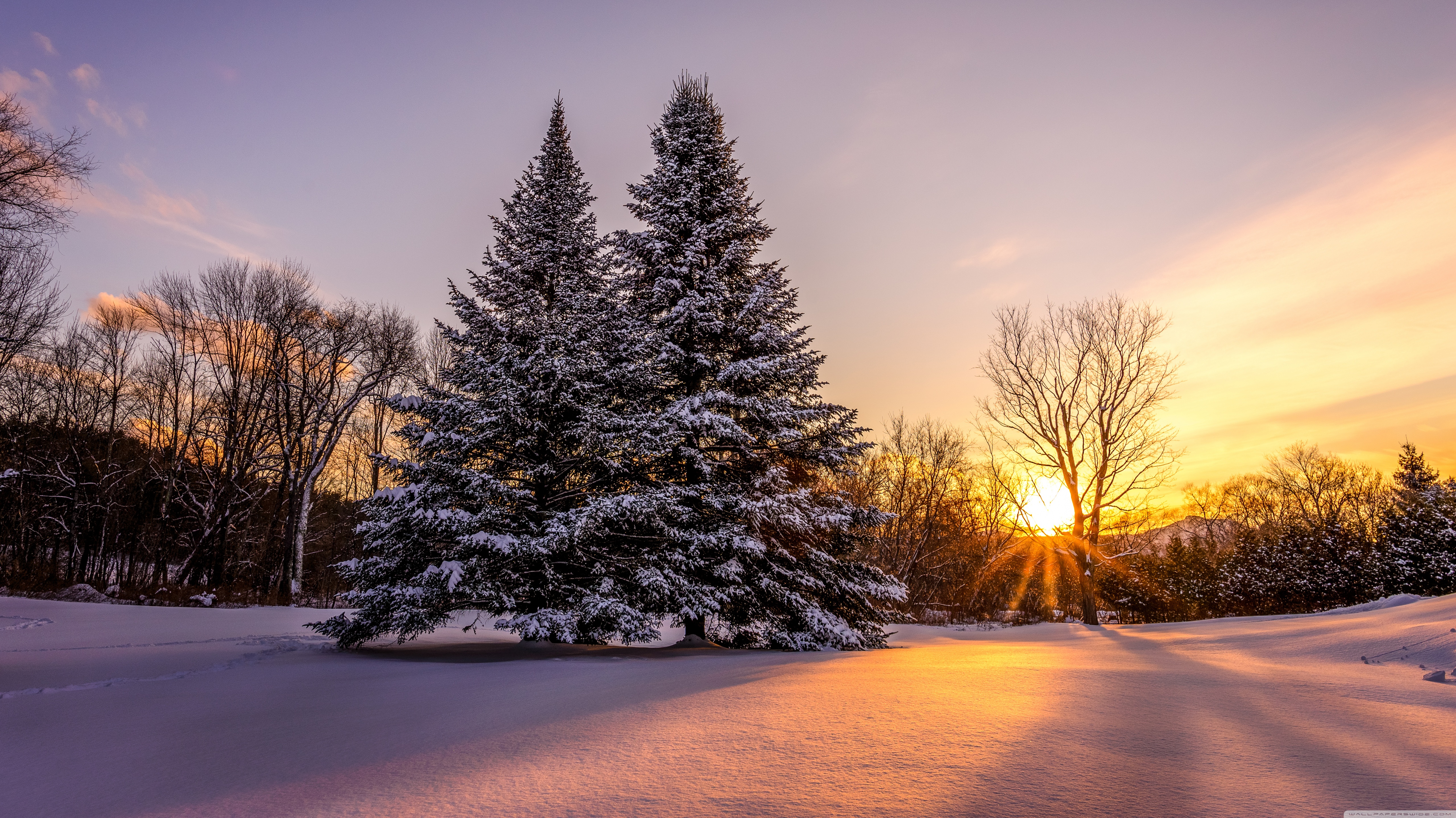 Winter, Landscape, Pine Trees, Orange Sunset Ultra HD Desktop Background Wallpaper for 4K UHD TV, Widescreen & UltraWide Desktop & Laptop, Tablet