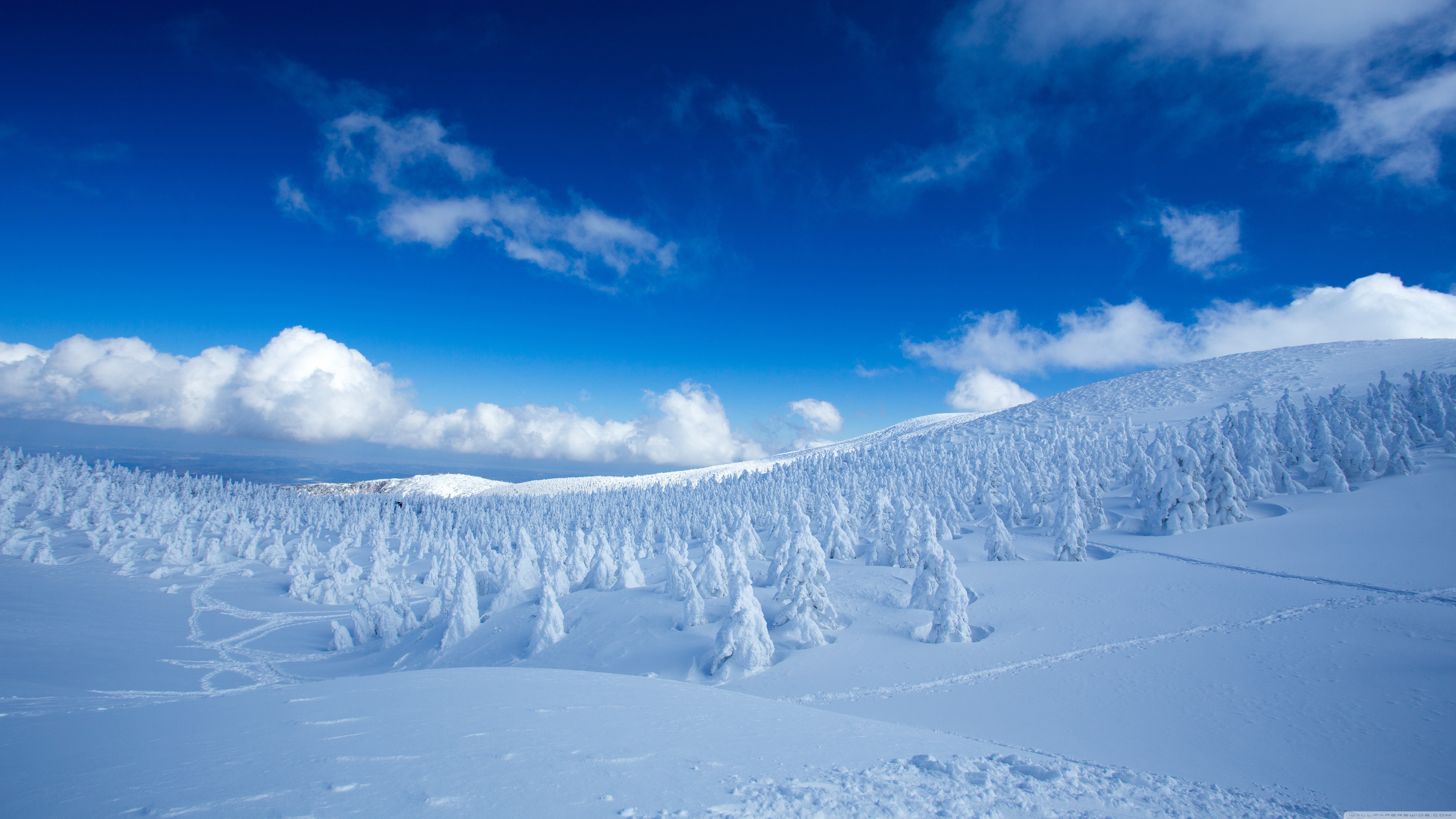 Winter Landscape Ultra HD Desktop Background Wallpaper for 4K UHD TV, Widescreen & UltraWide Desktop & Laptop, Tablet