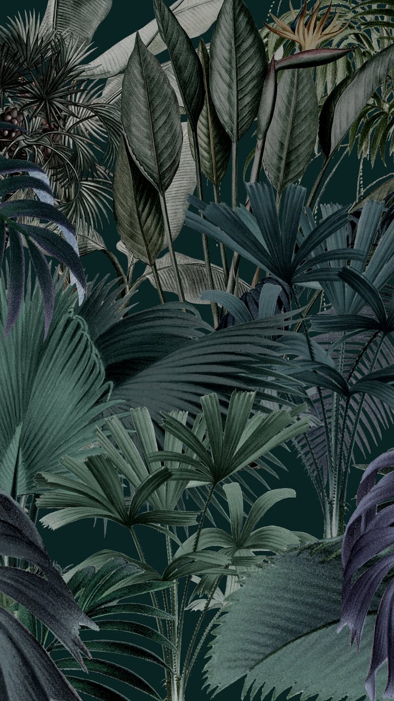Wallpaper Phone Wallpaper