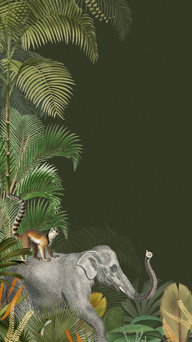 Jungle Phone Wallpaper Image Wallpaper