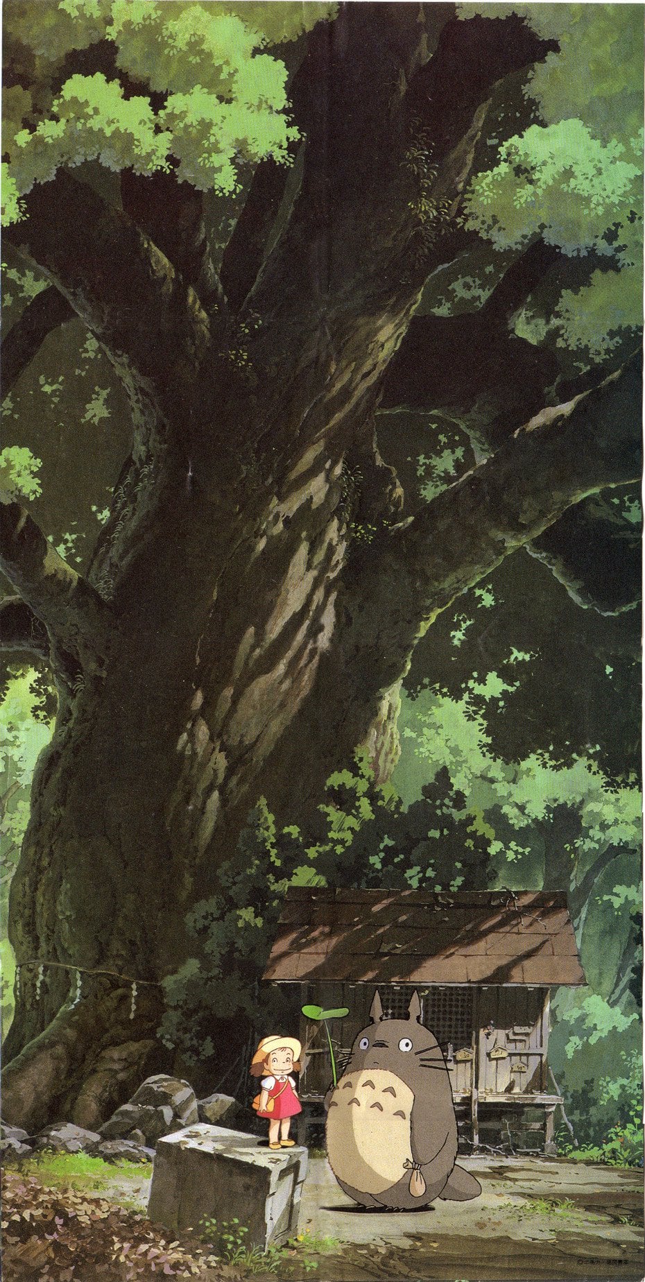 My neighbour Totoro. Doesn't really fit my s4