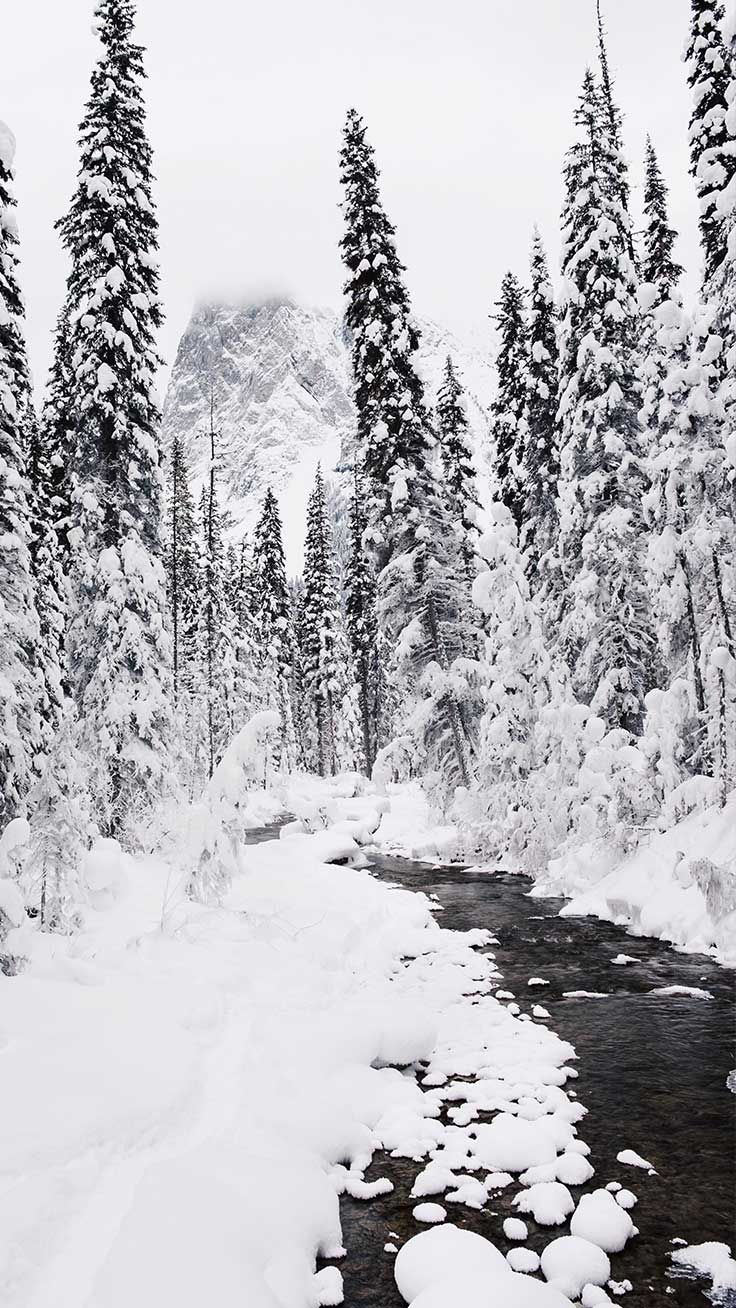 Wonderful Winter World iPhone X Wallpaper. Preppy Wallpaper. iPhone wallpaper winter, Winter wallpaper, Winter iphone