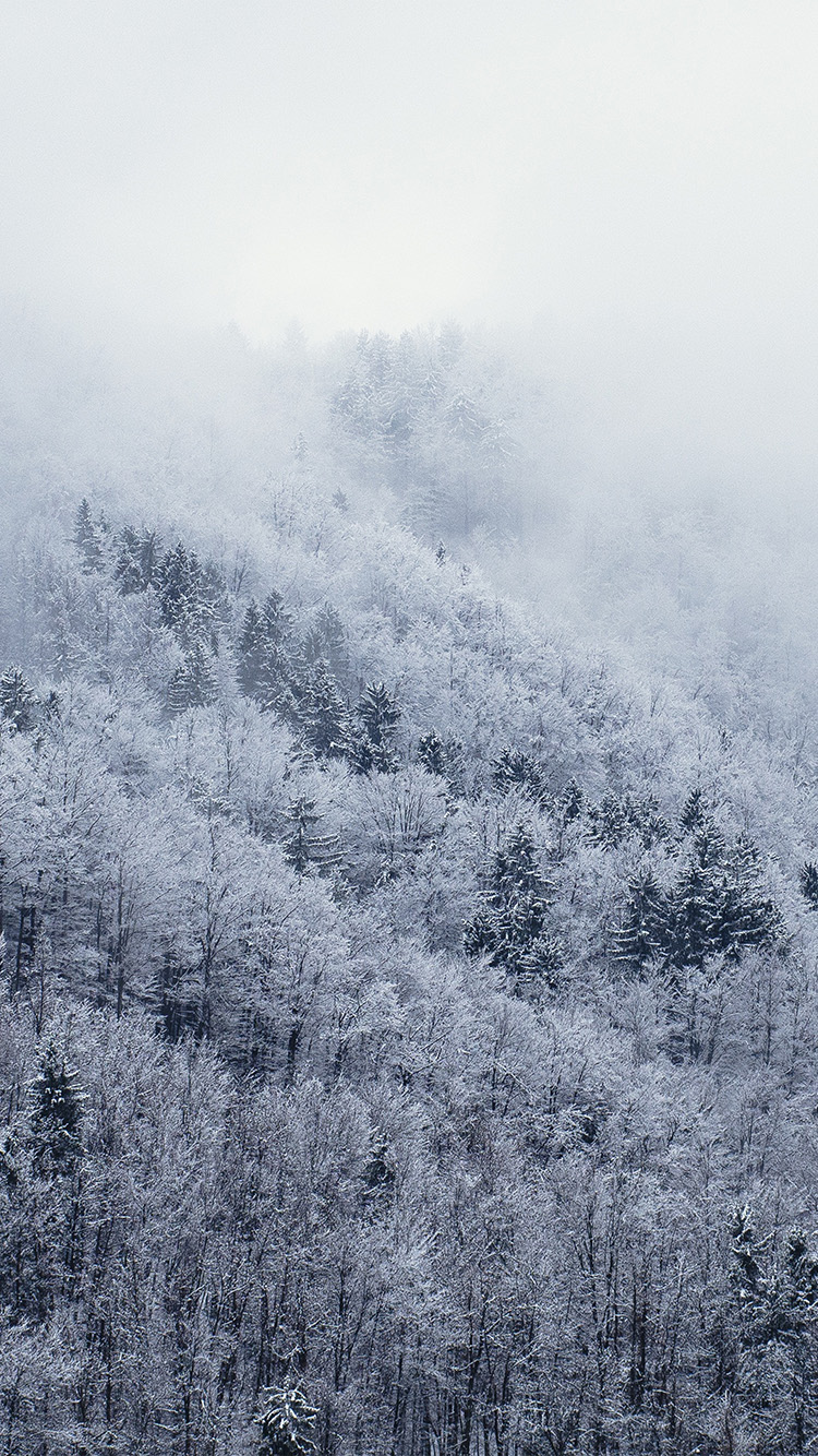 iPhone 6 wallpaper. mountain wood winter christmas white