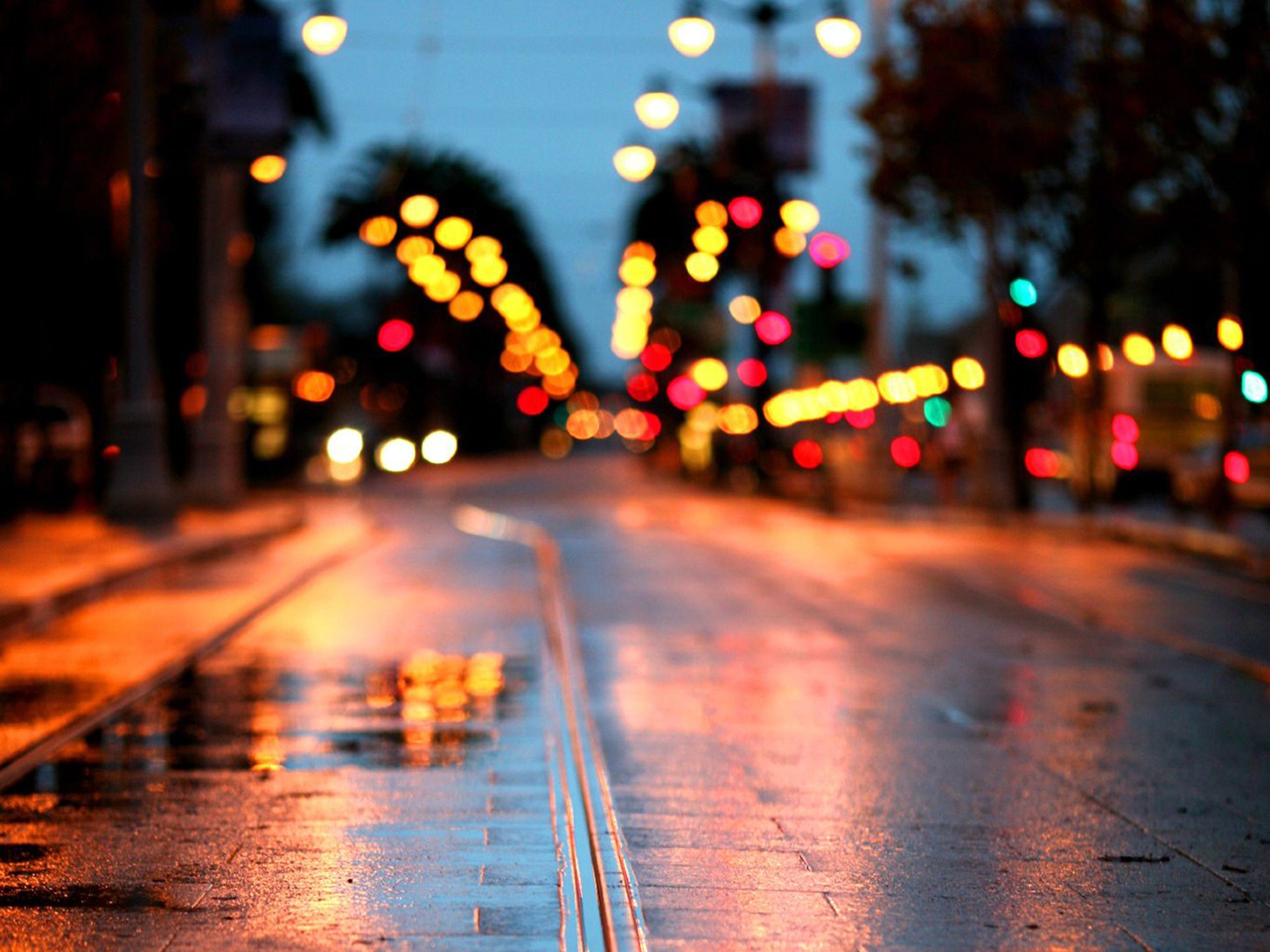 road rain city lights wallpaper