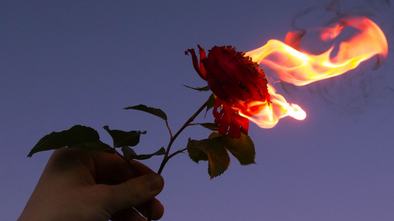 Download wallpaper 1366x768 rose, flower, flame, hand, fire tablet, laptop HD background