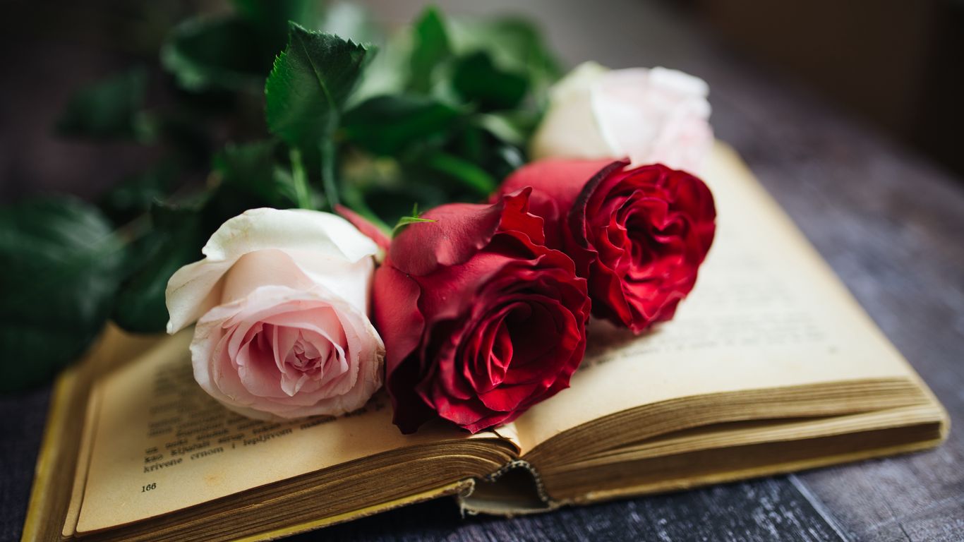 Download wallpaper 1366x768 roses, flowers, book, pages, aesthetics tablet, laptop HD background
