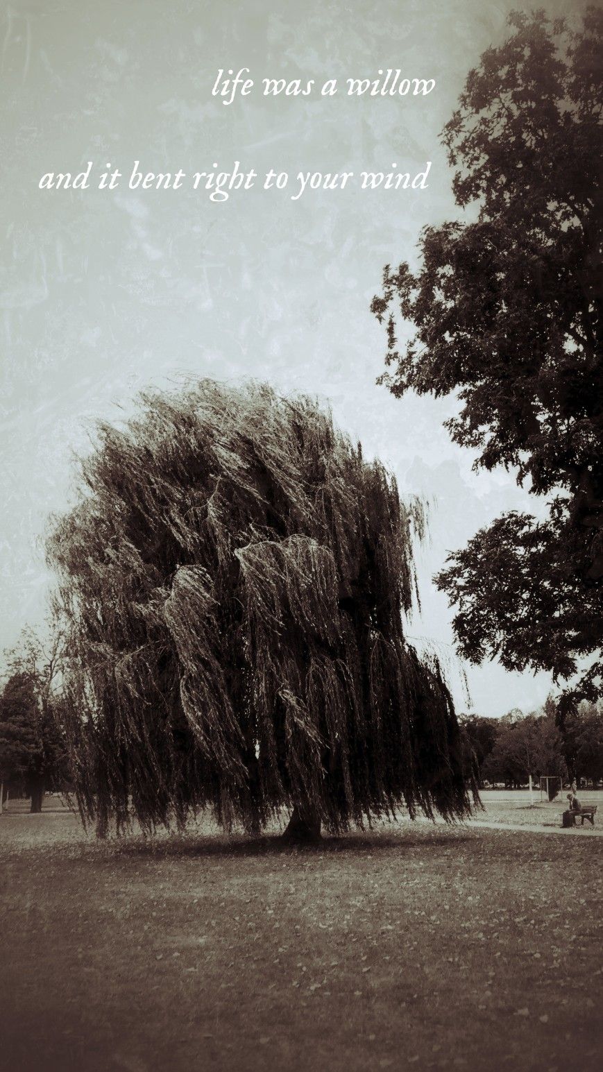 Evermore Wallpaper Background