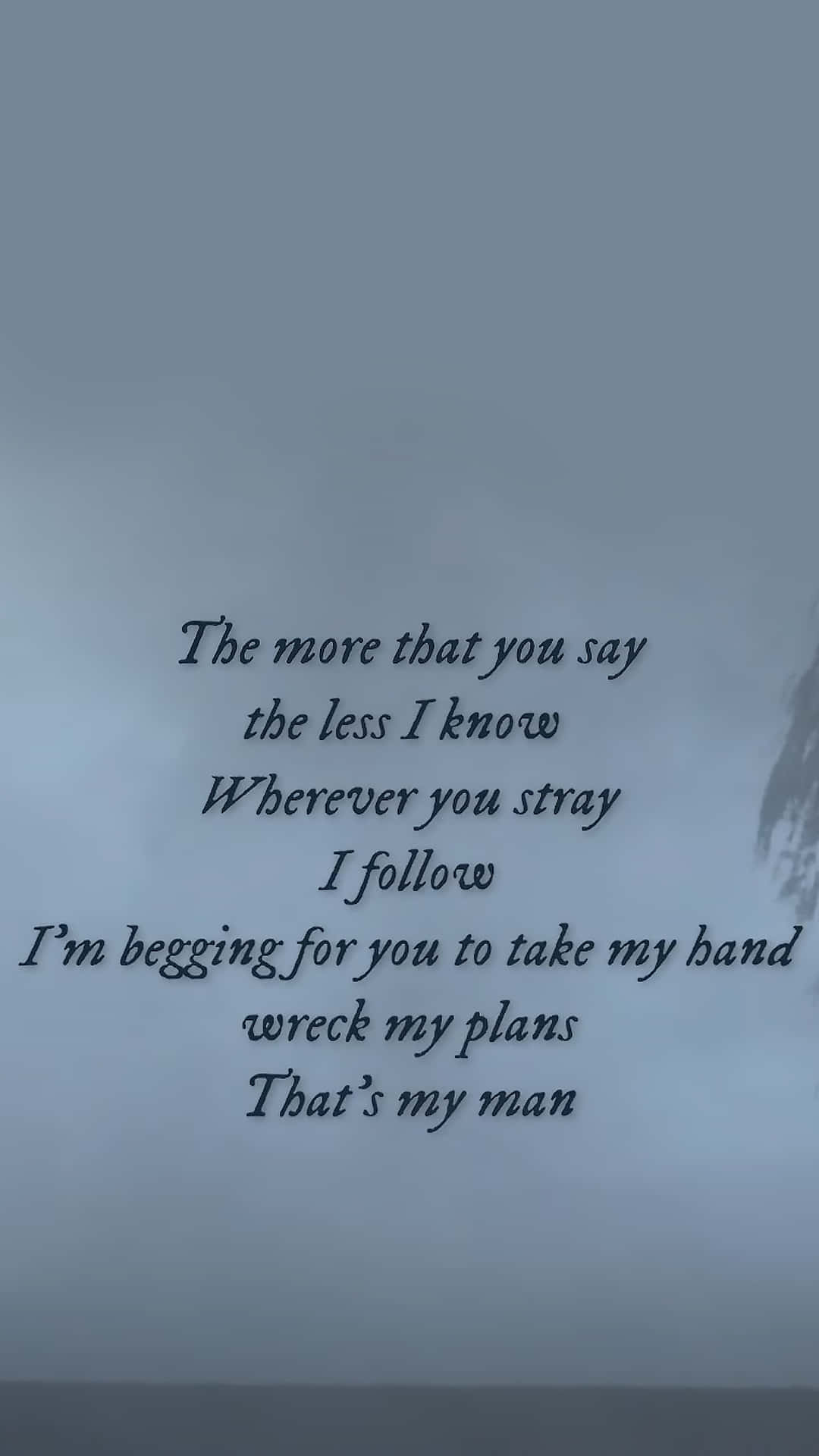 Download Taylor Swift Lyrics From Willow Wallpaper