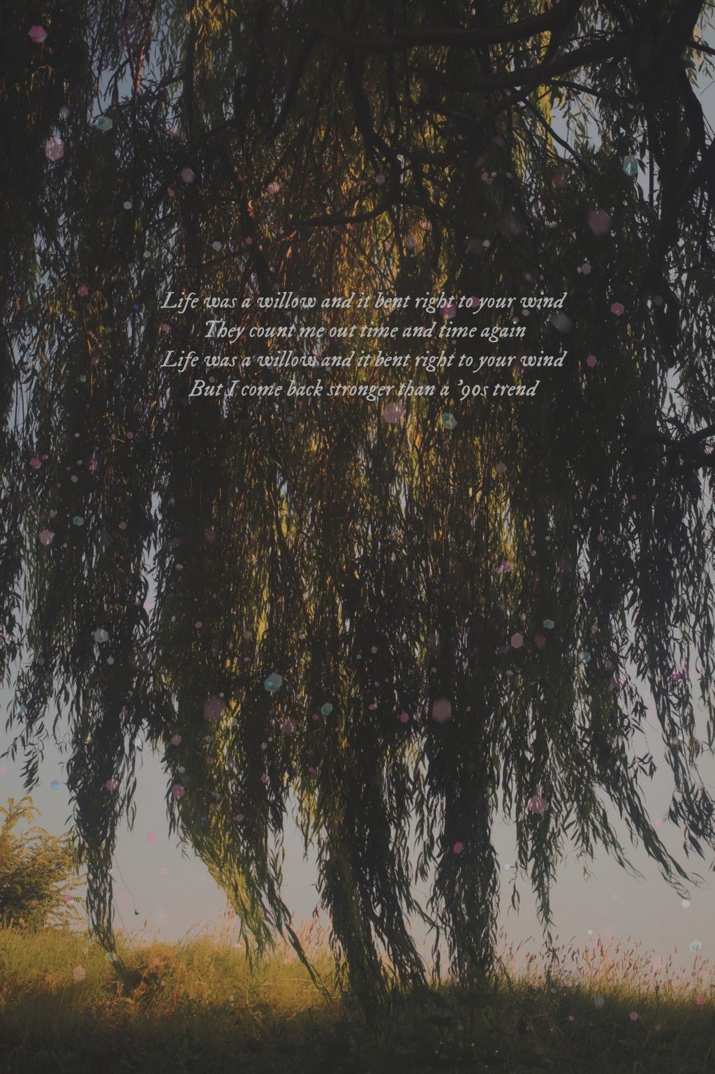 Taylor Swift lyrics willow. Taylor swift lyrics, Taylor swift wallpaper, Taylor lyrics