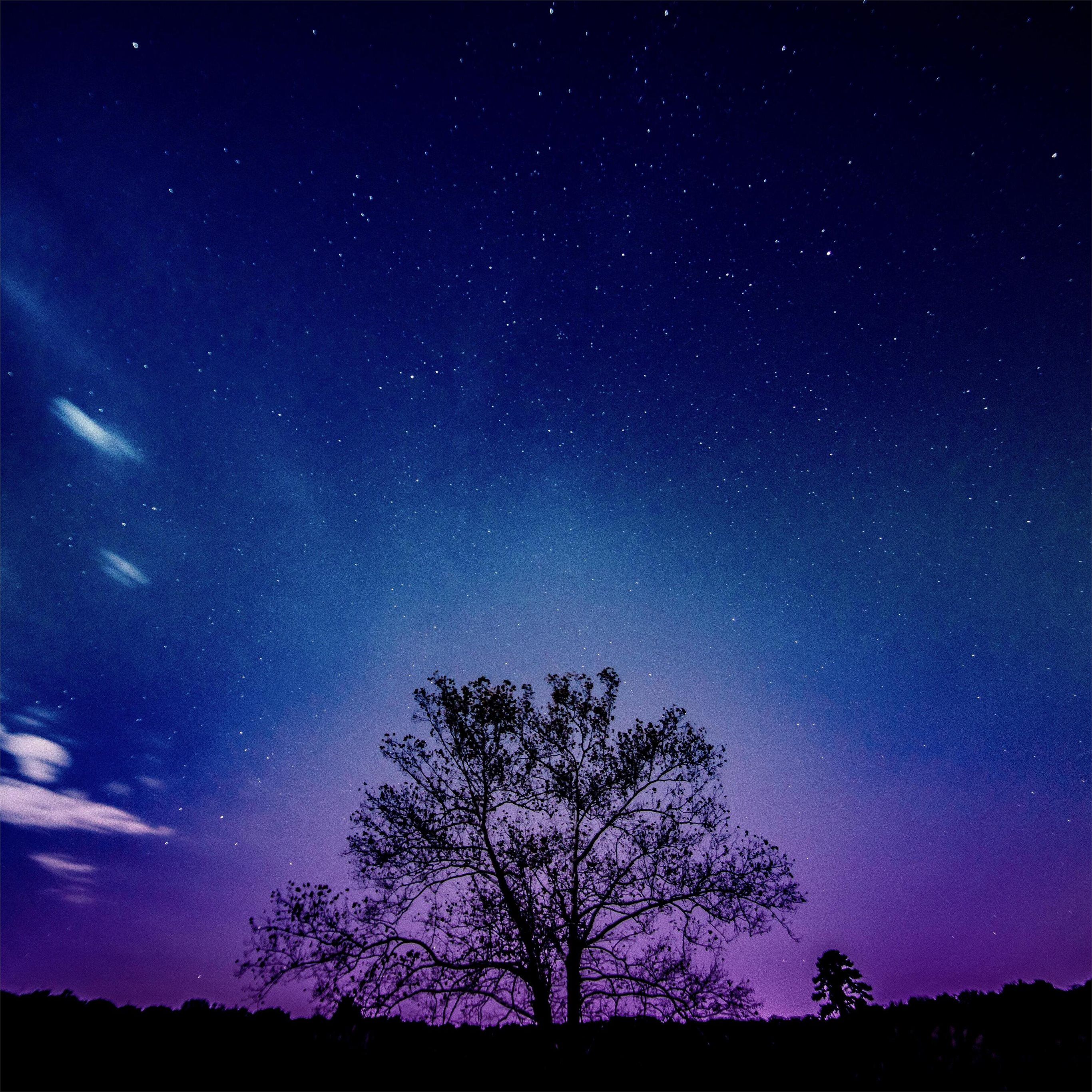 tree galaxy sky 8k iPad Pro Wallpaper. iPad pro wallpaper, Galaxy wallpaper, Cool galaxy wallpaper