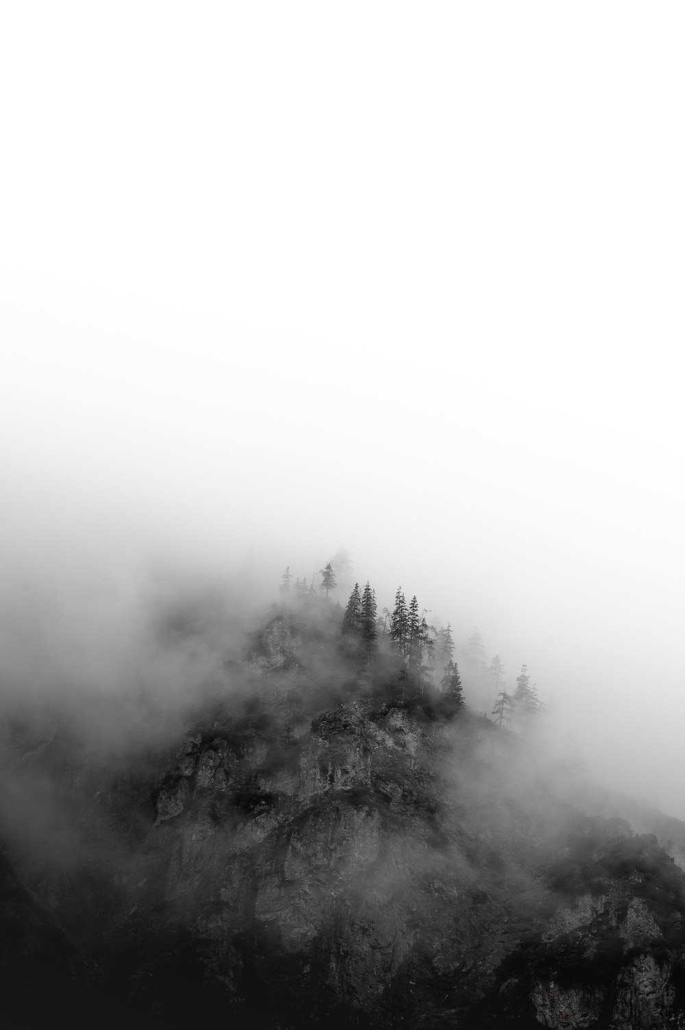 Grey Nature Picture. Download Free Image