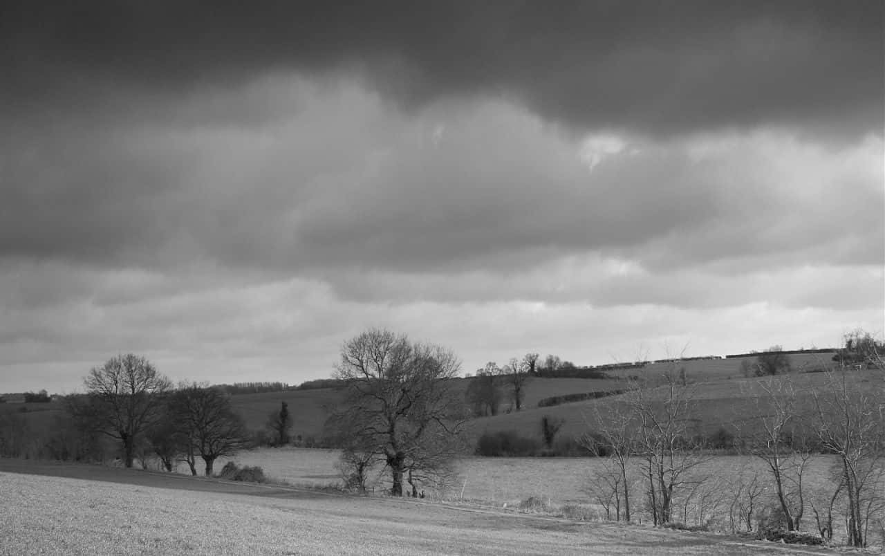 Download Landscape Scenery Grey Background