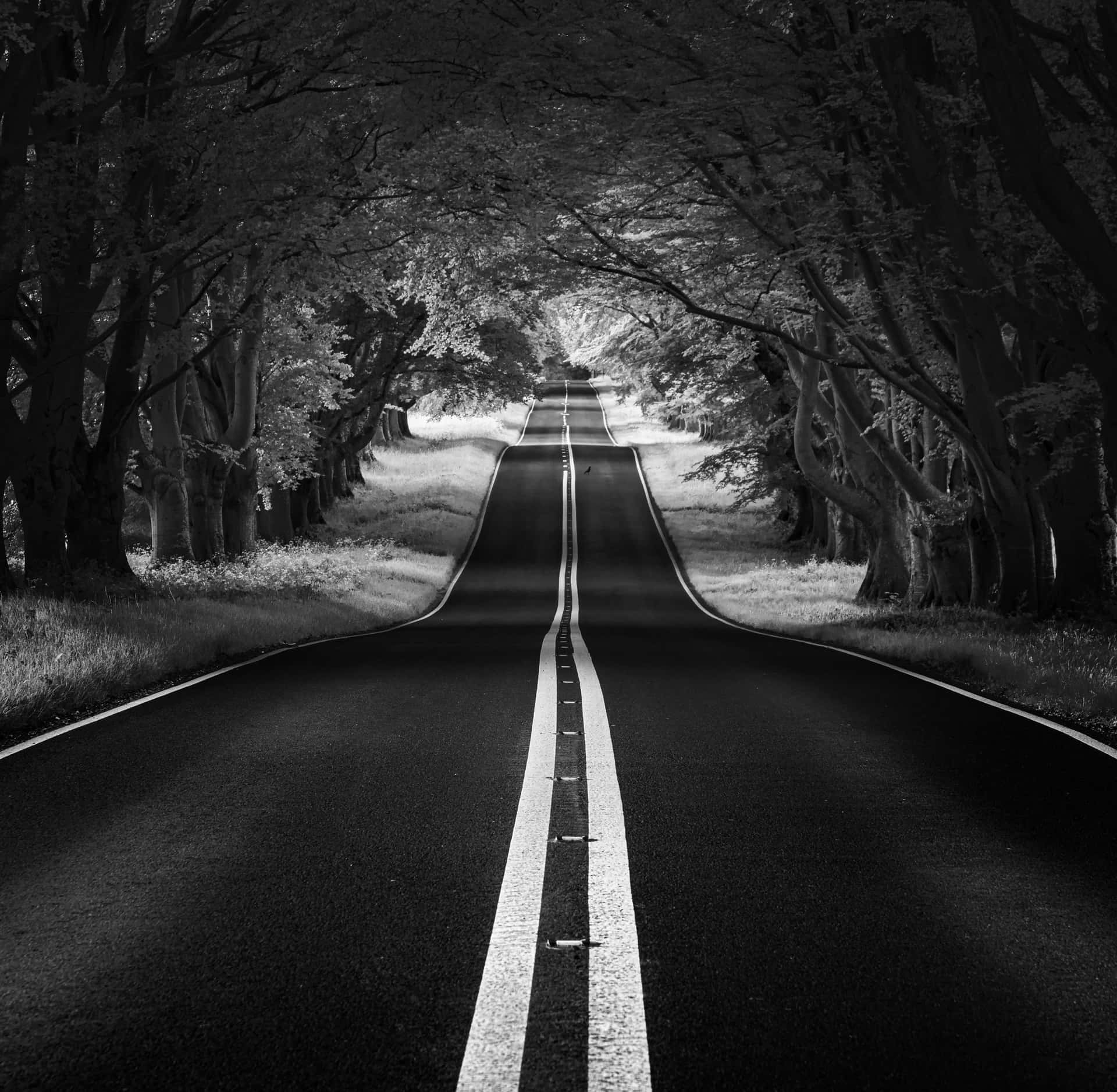 Download Black and White Street Scene Wallpaper