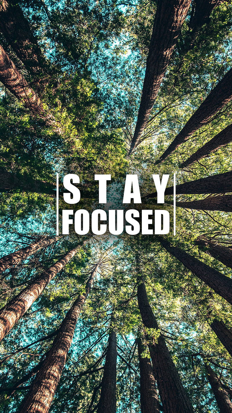 Download Stay Focused Motivational Mobile Wallpaper