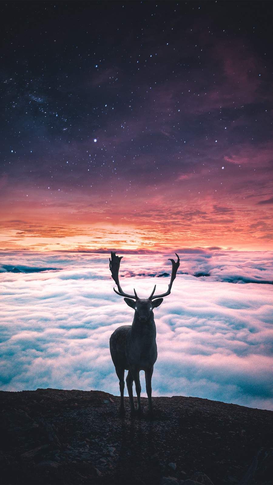 Deer World iPhone Wallpaper. Animal wallpaper, Cool background, iPhone wallpaper