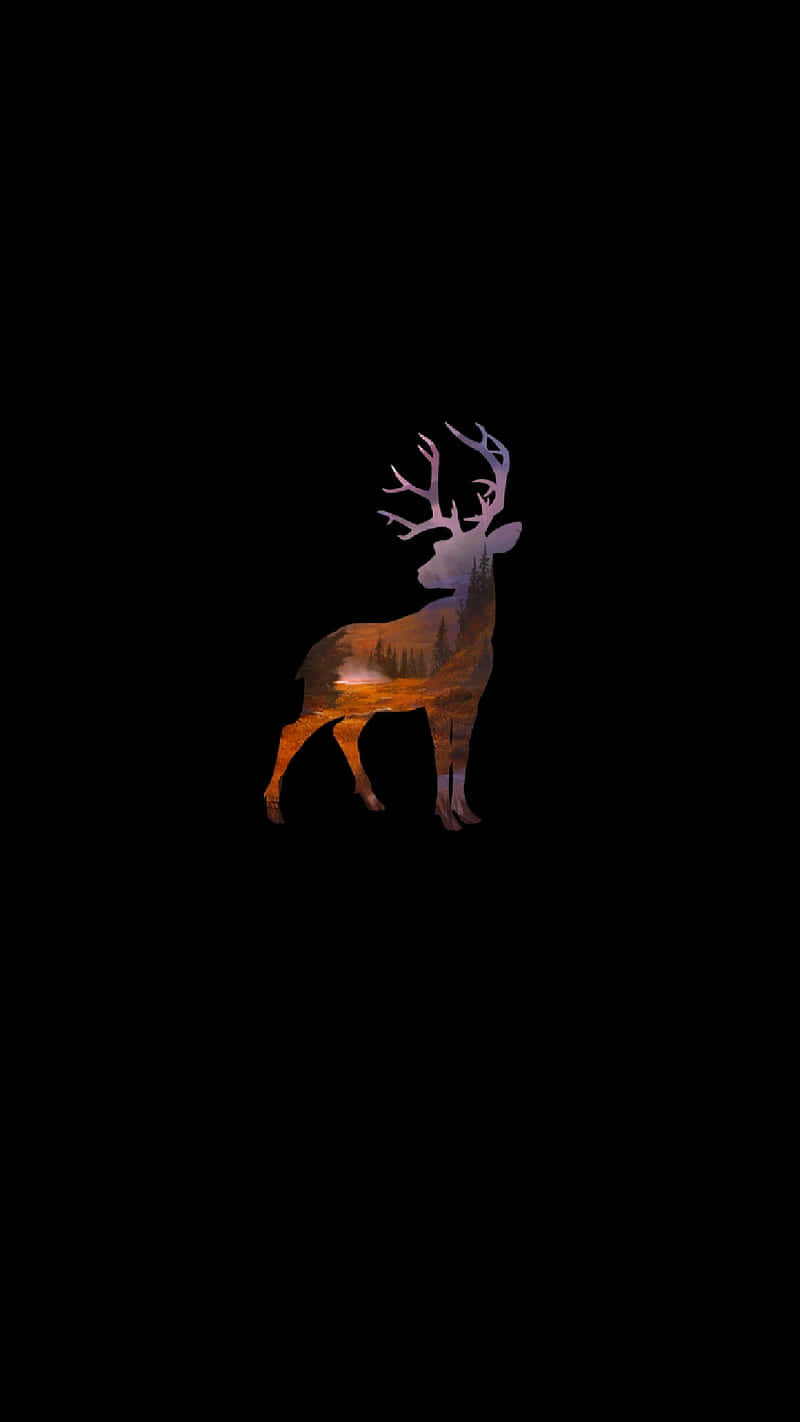 Download A Deer Is Standing In The Dark Wallpaper