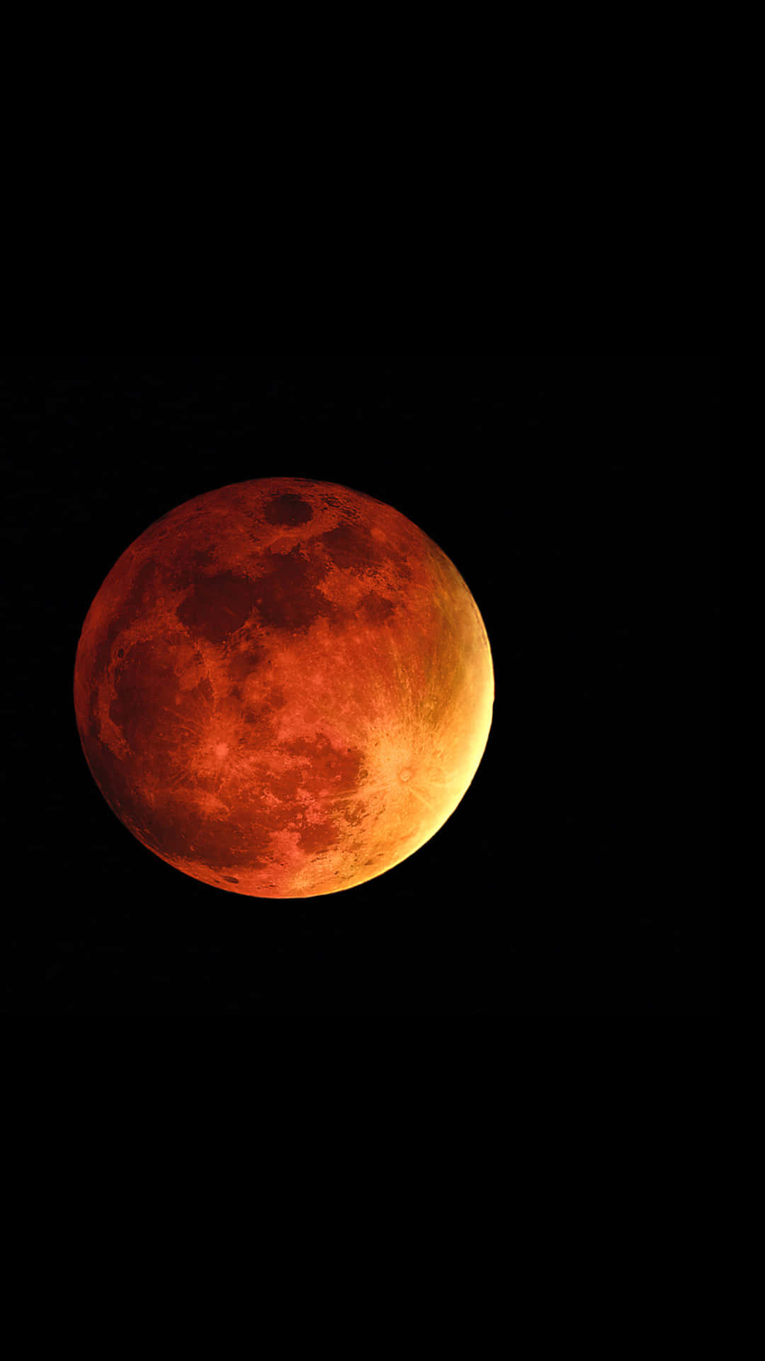 Download The Moon Illuminates the Night Sky Wallpaper