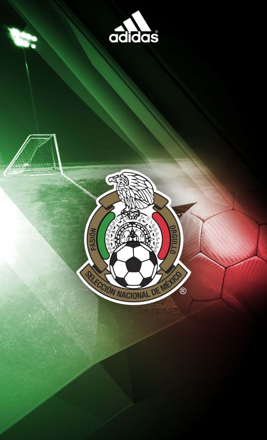 Download Fans Unite To Support Mexico Soccer Wallpaper