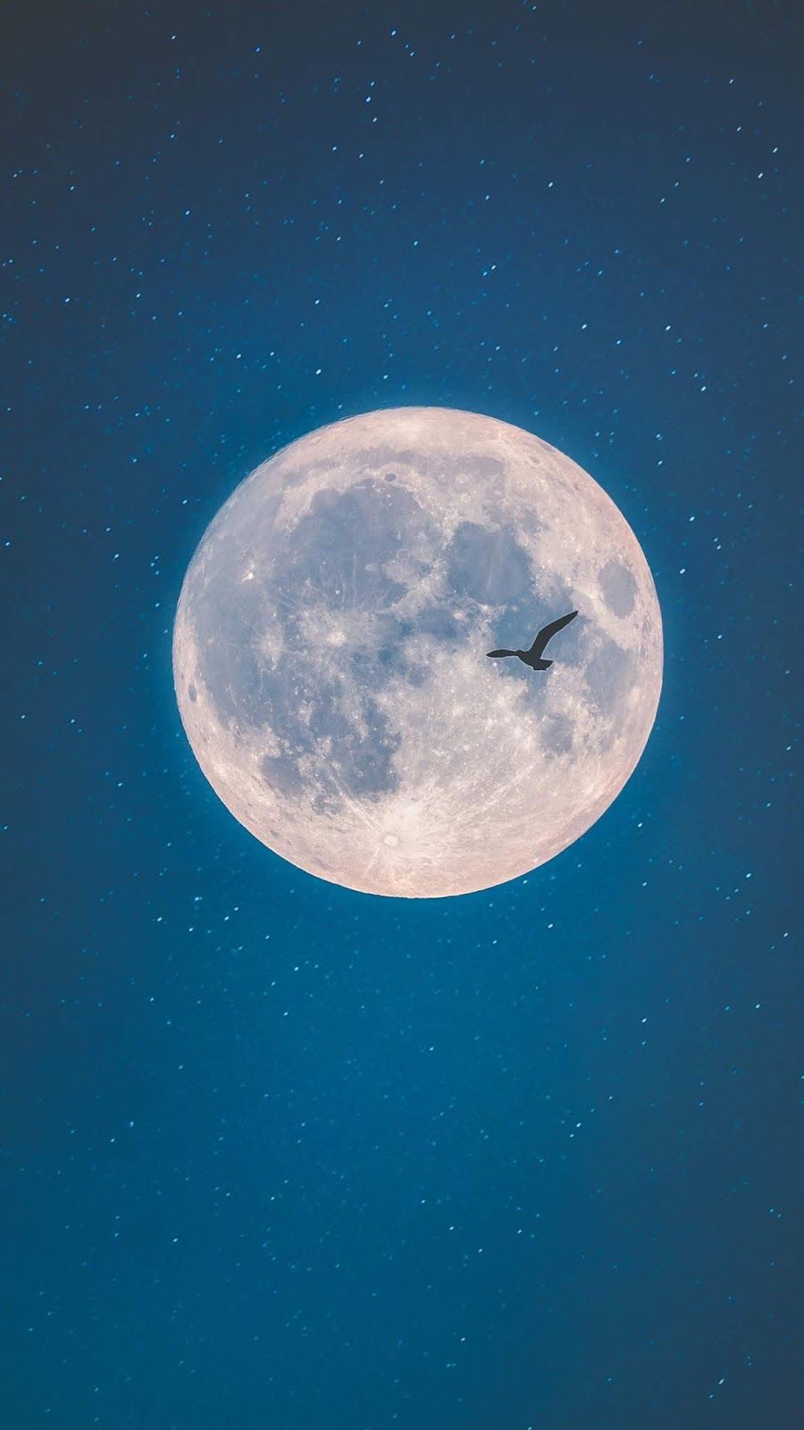 The moon night #wallpaper #iphone #android #background #followme. Beautiful night image, Beautiful moon, Good night moon
