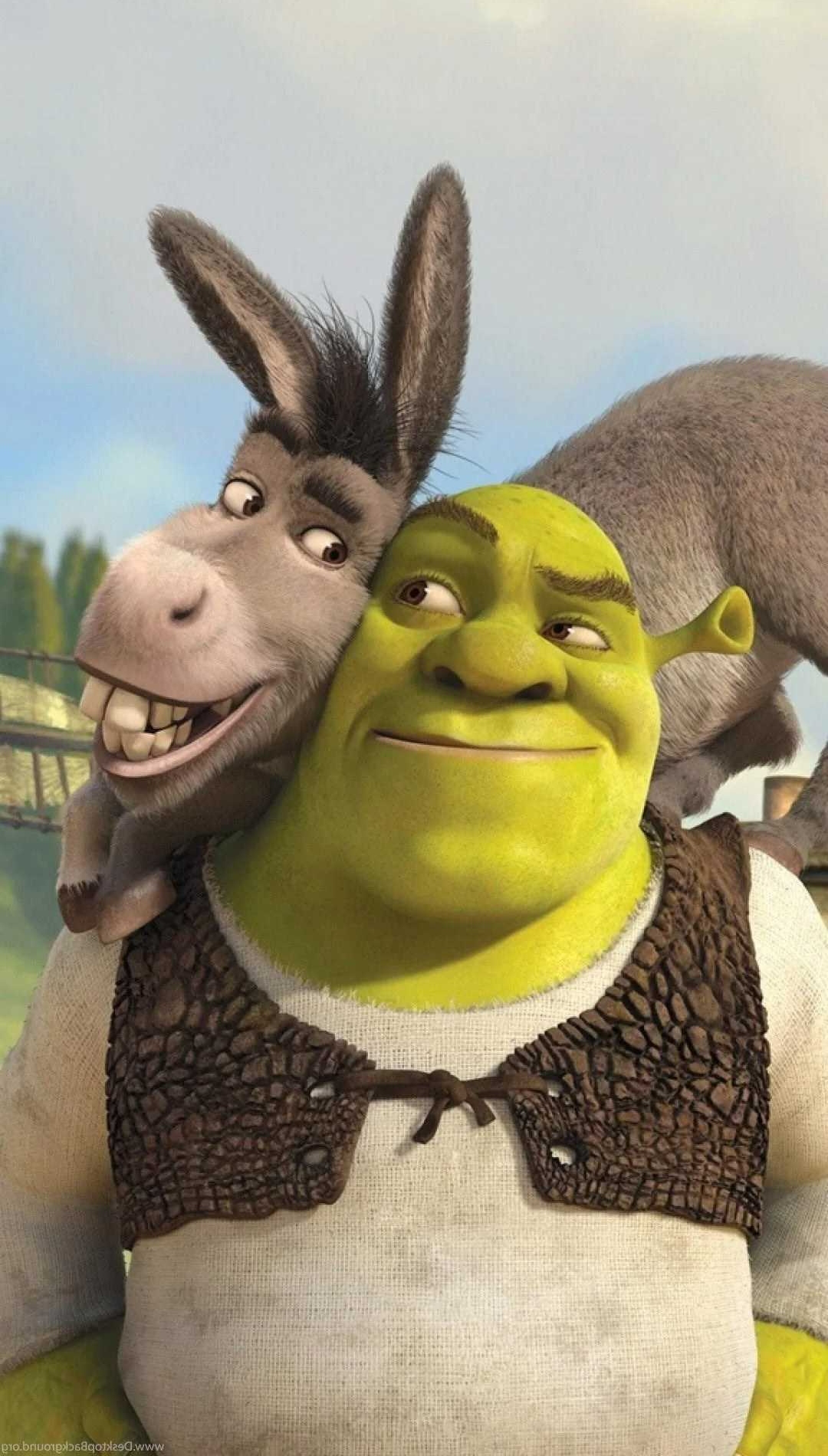 Shrek Wallpaper Shrek Wallpaper [ HQ ]